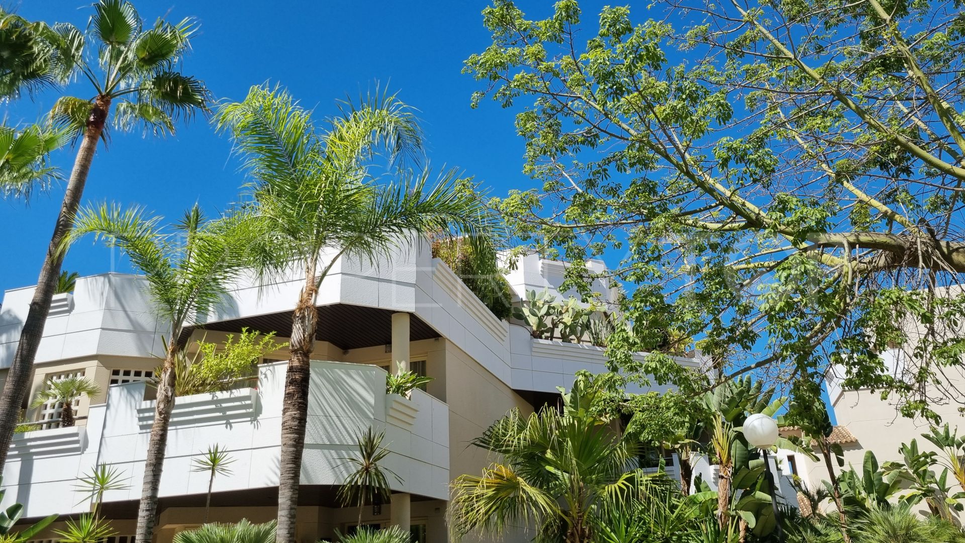 Atico con 3 dormitorios en venta en Fuente Aloha