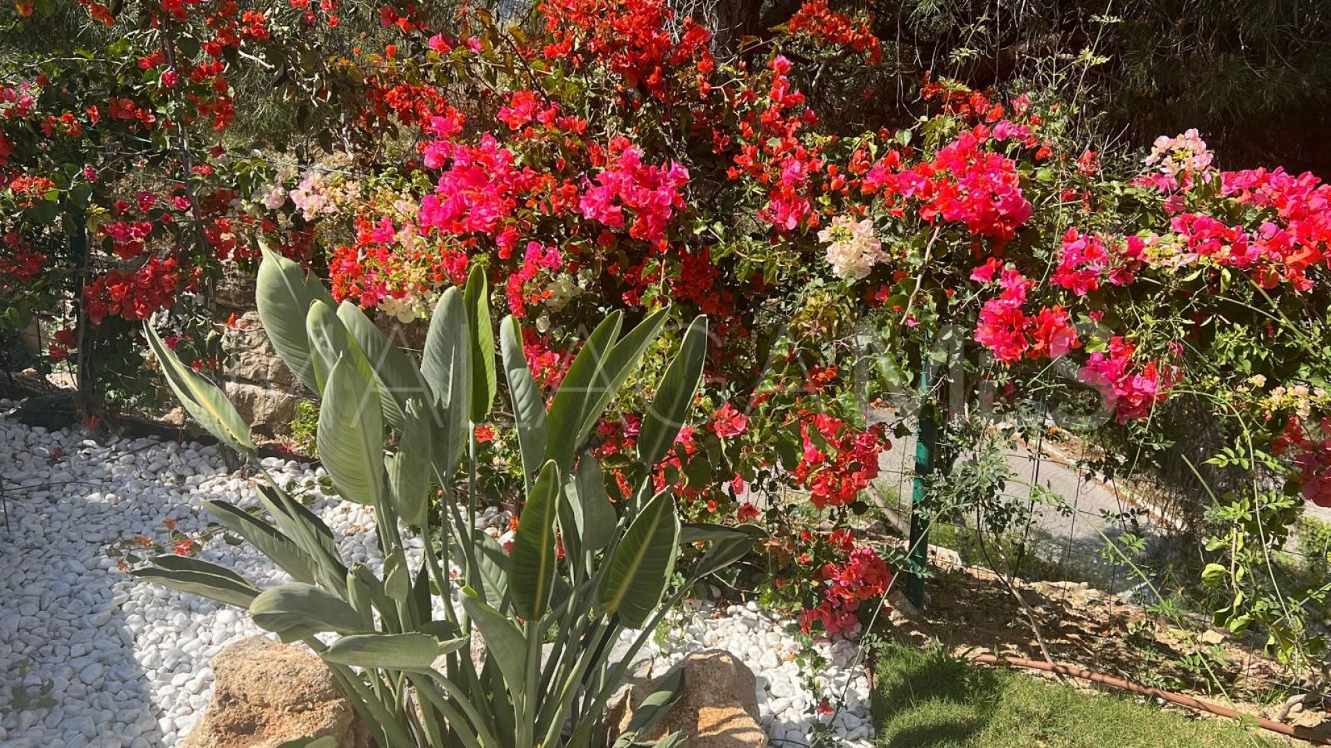 Villa for sale in Elviria