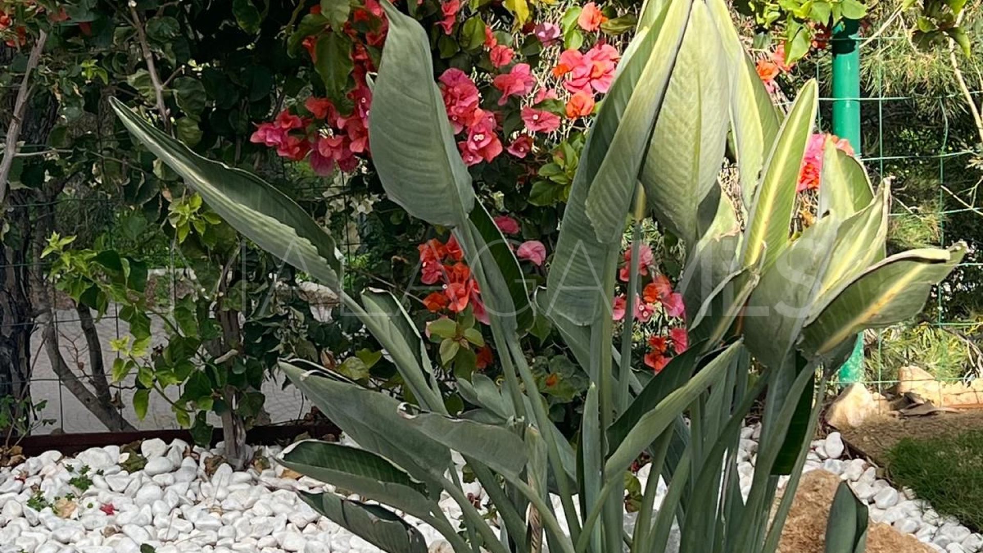 Villa for sale in Elviria