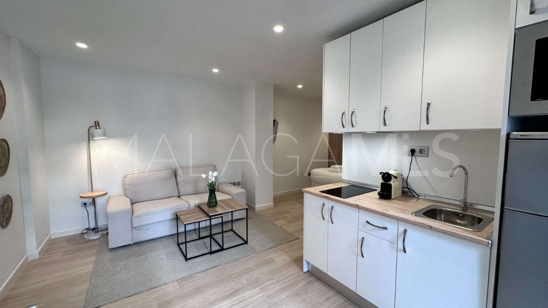 Studio for sale in Ricardo Soriano