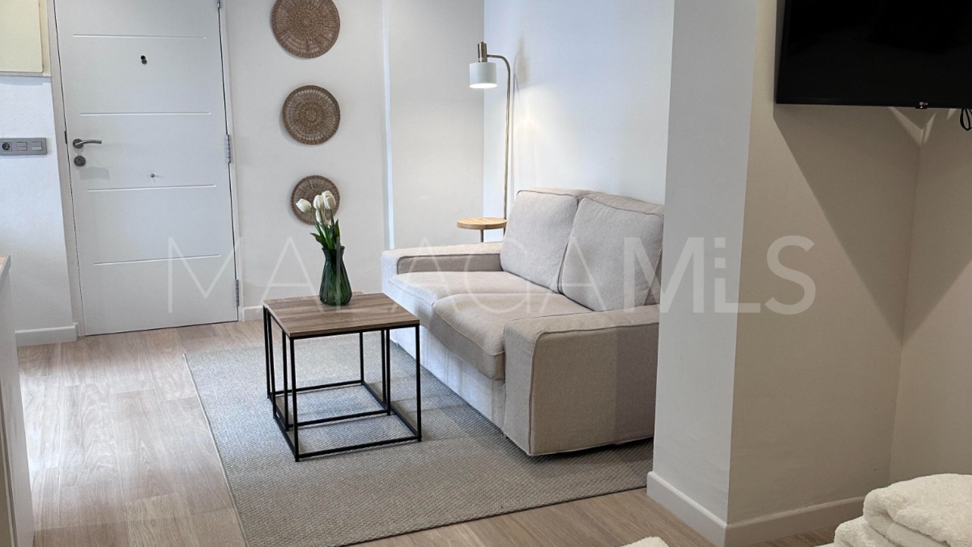 Studio for sale in Ricardo Soriano
