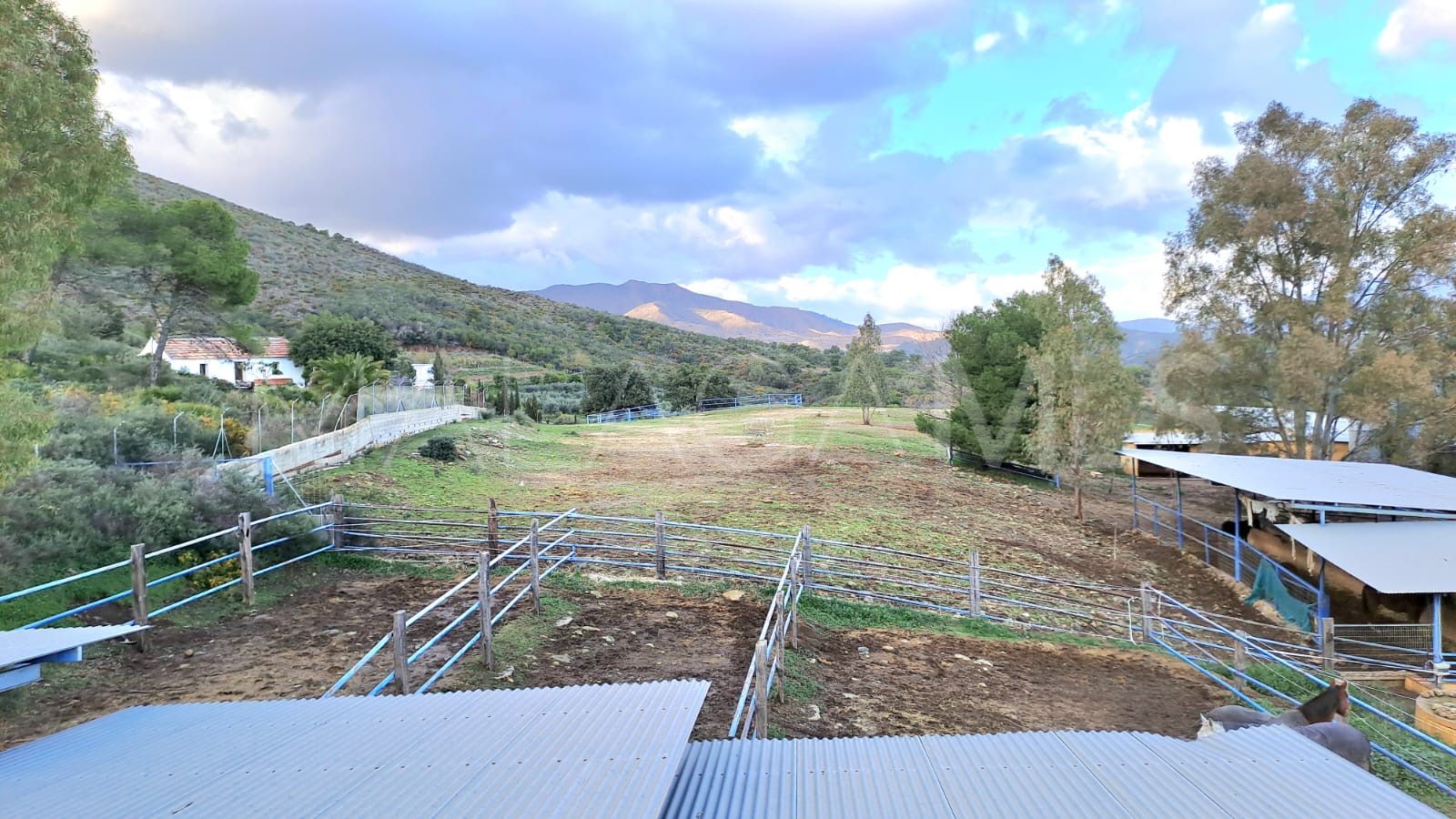 Estate for sale in Campo Mijas with 8 bedrooms