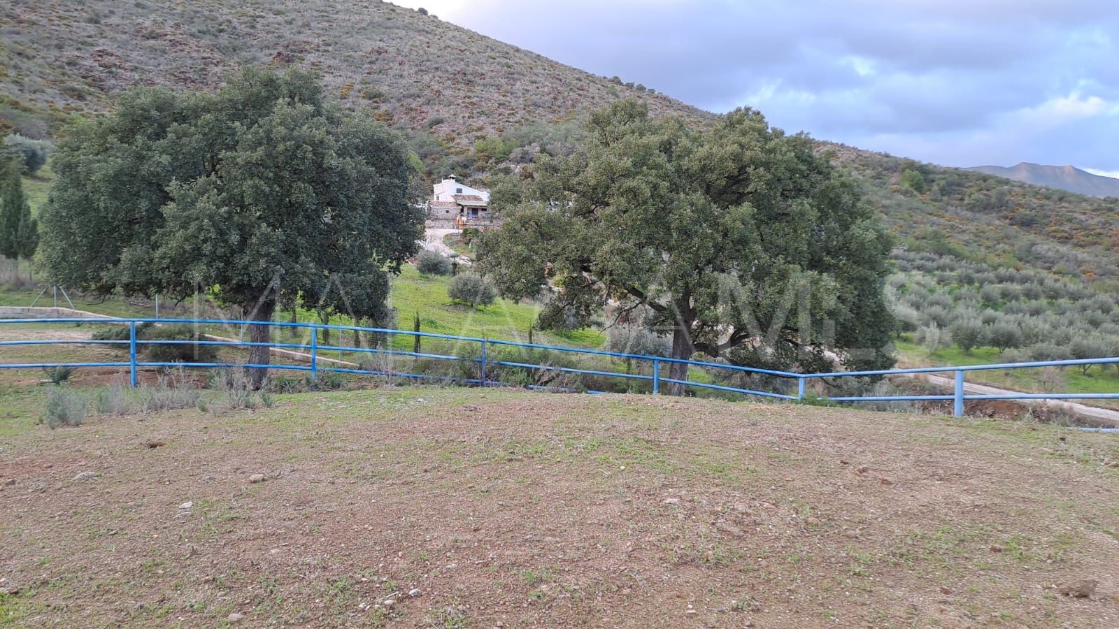 Estate for sale in Campo Mijas with 8 bedrooms