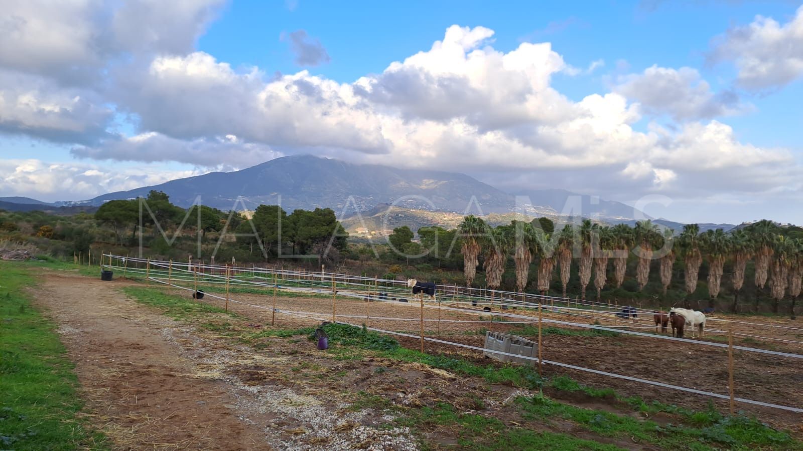 Estate for sale in Campo Mijas with 8 bedrooms