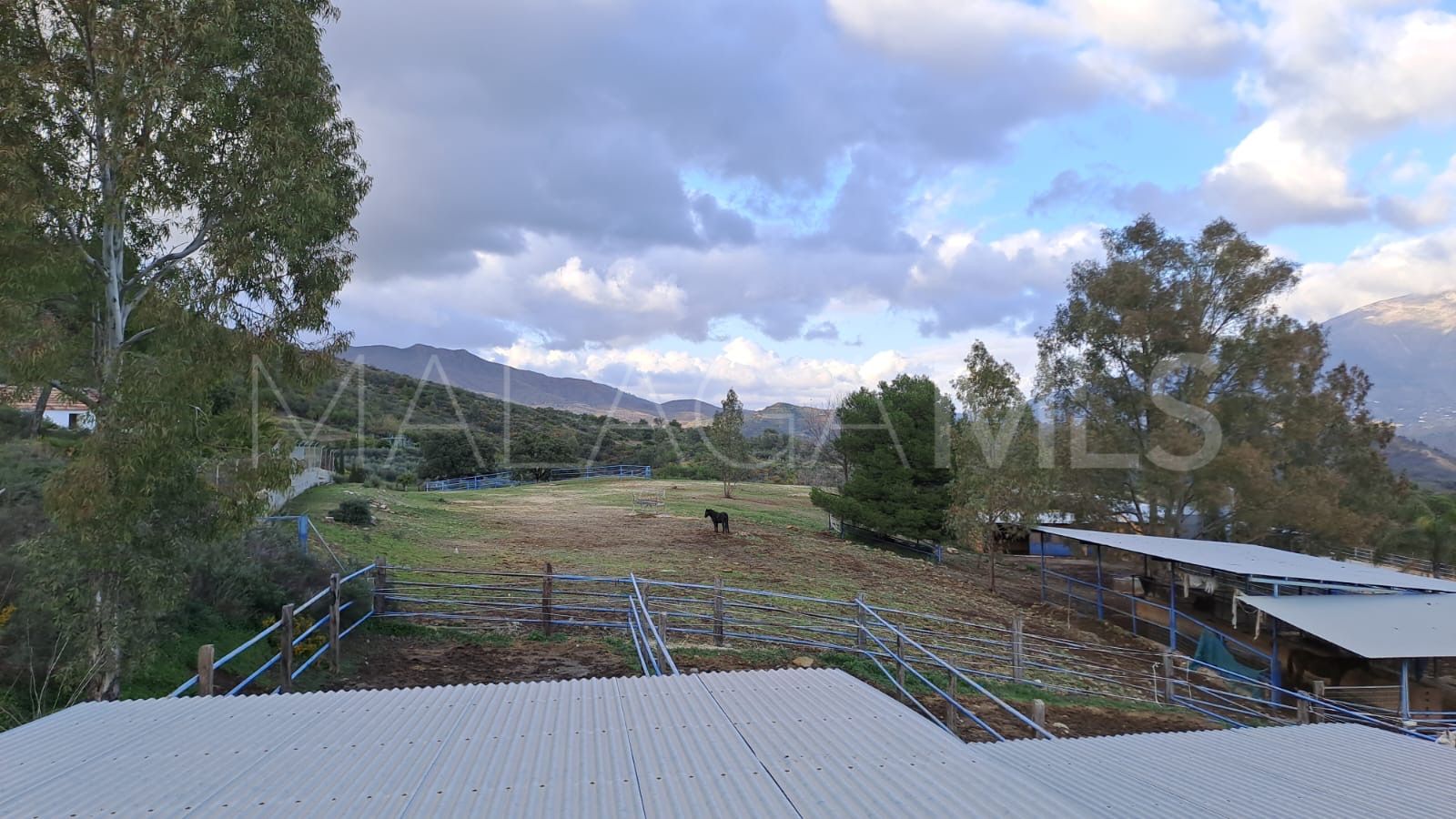 Estate for sale in Campo Mijas with 8 bedrooms