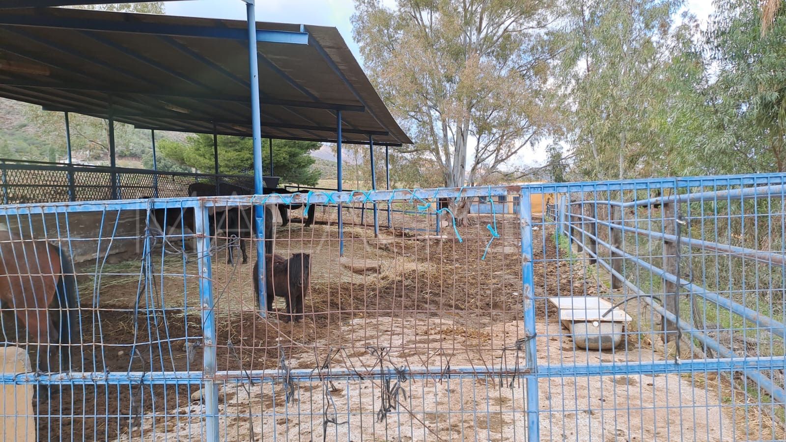 Estate for sale in Campo Mijas with 8 bedrooms