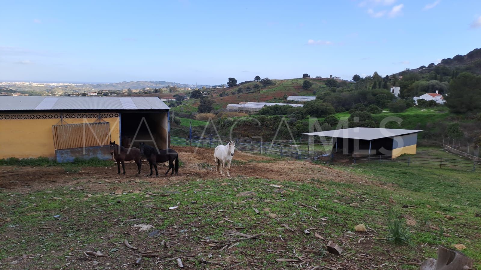 Estate for sale in Campo Mijas with 8 bedrooms