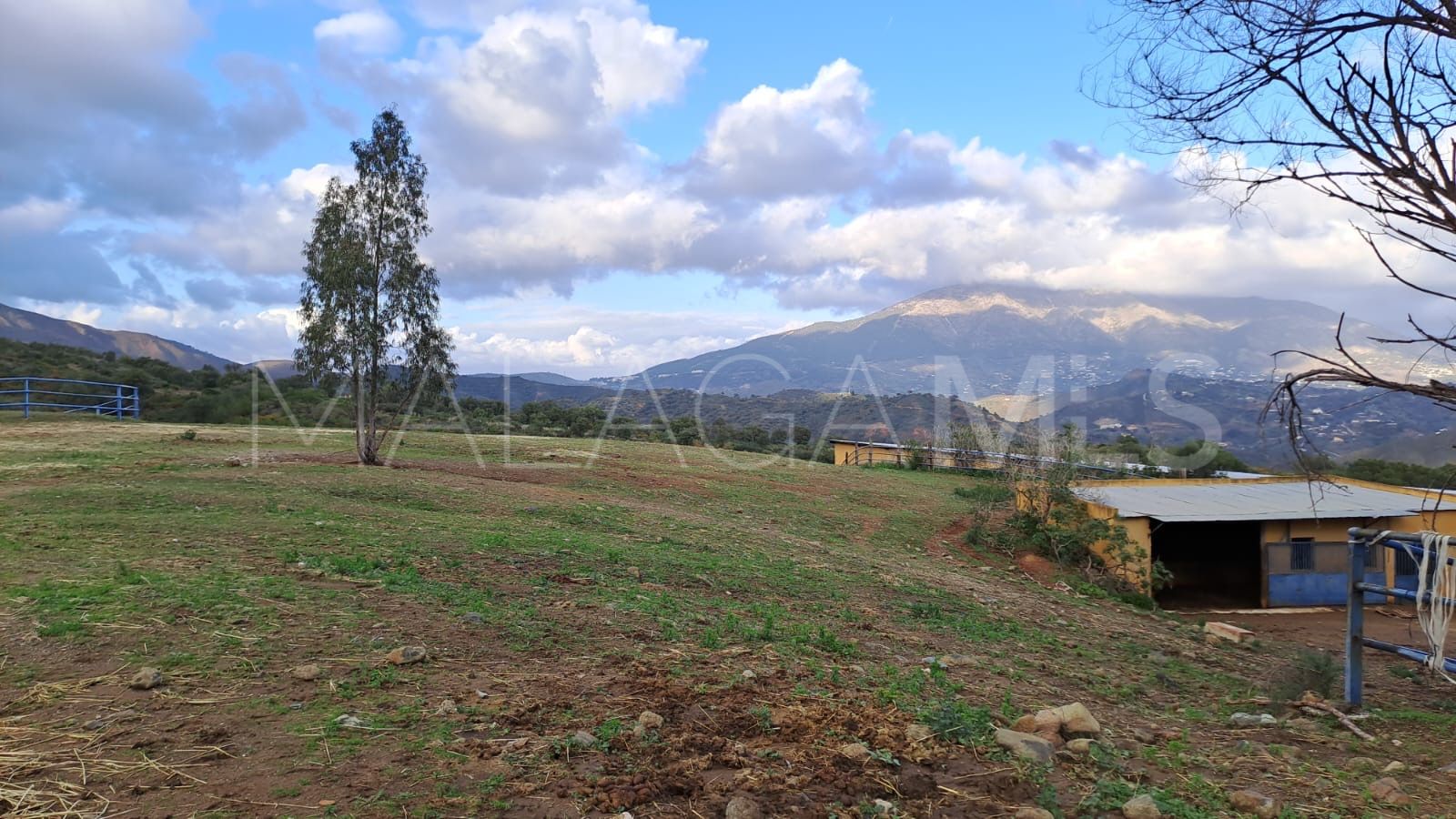 Estate for sale in Campo Mijas with 8 bedrooms