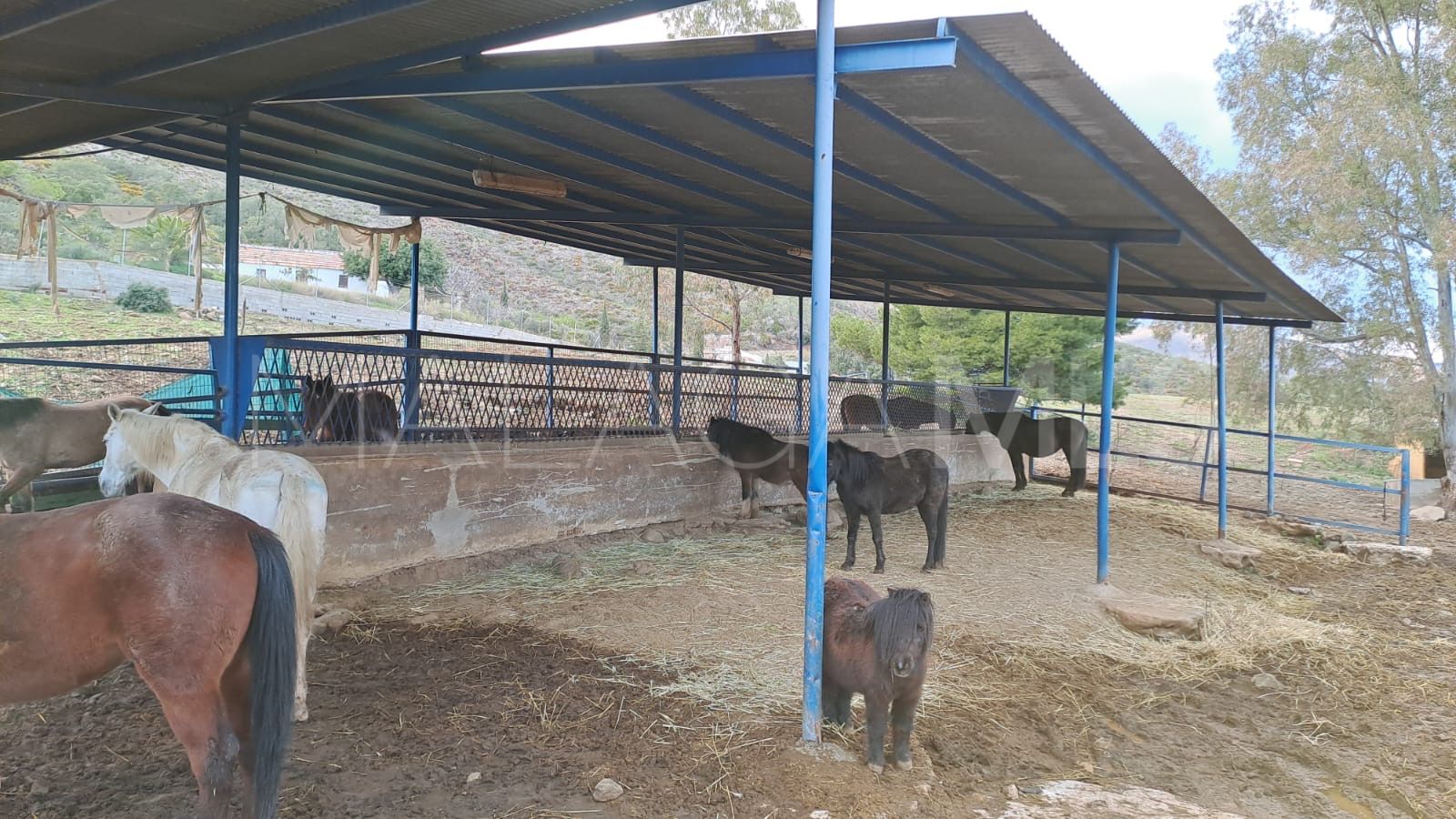 Estate for sale in Campo Mijas with 8 bedrooms