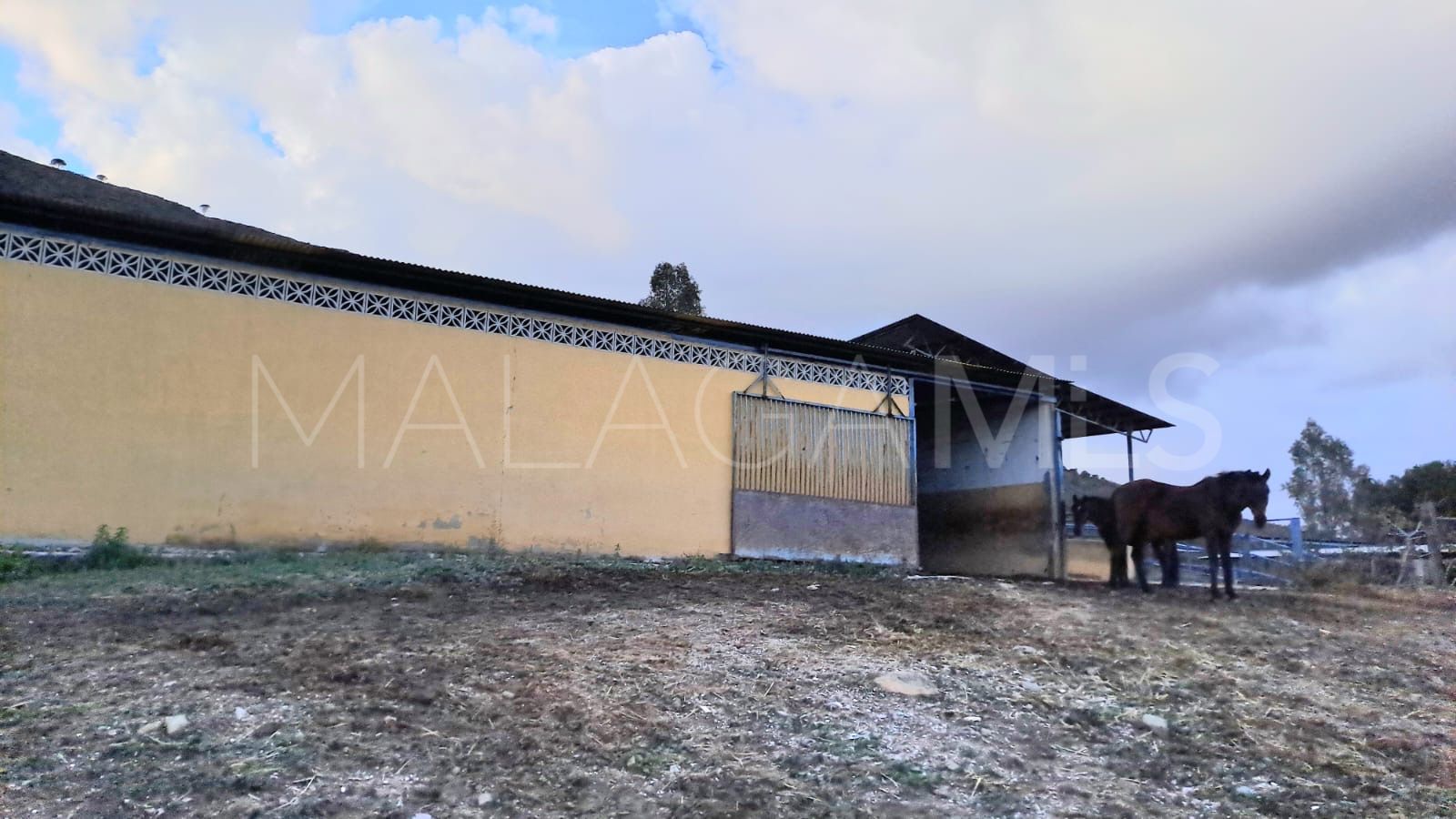 Estate for sale in Campo Mijas with 8 bedrooms