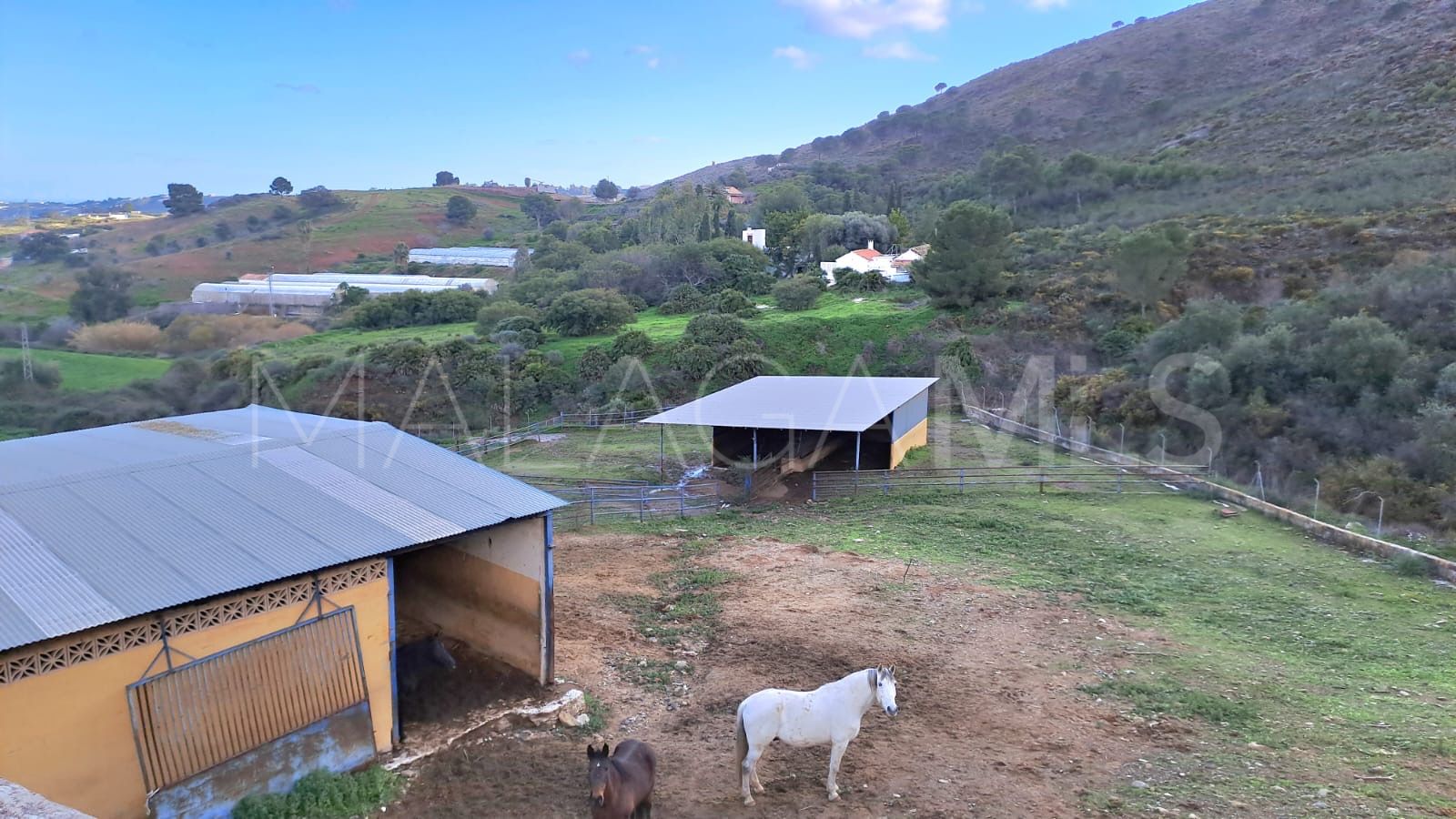 Estate for sale in Campo Mijas with 8 bedrooms