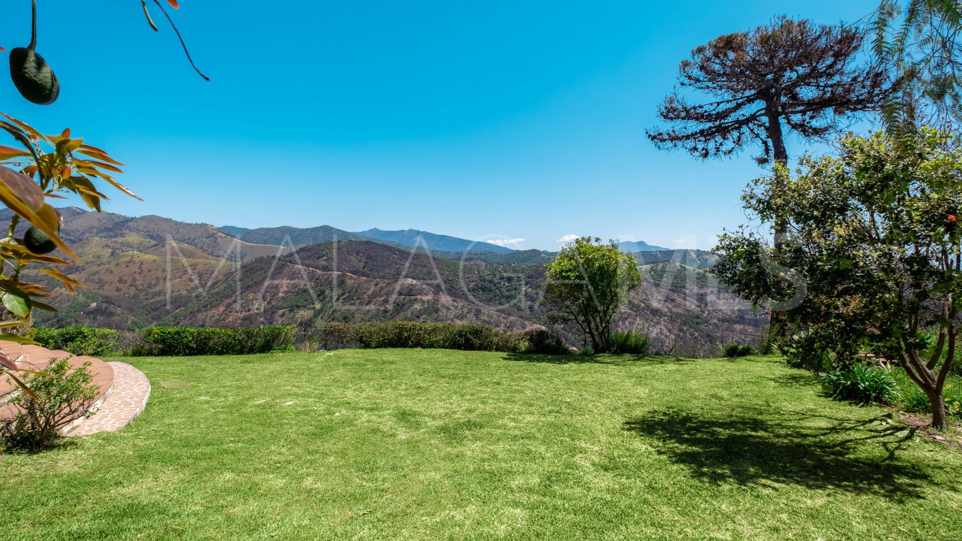 Finca for sale in Forest Hills