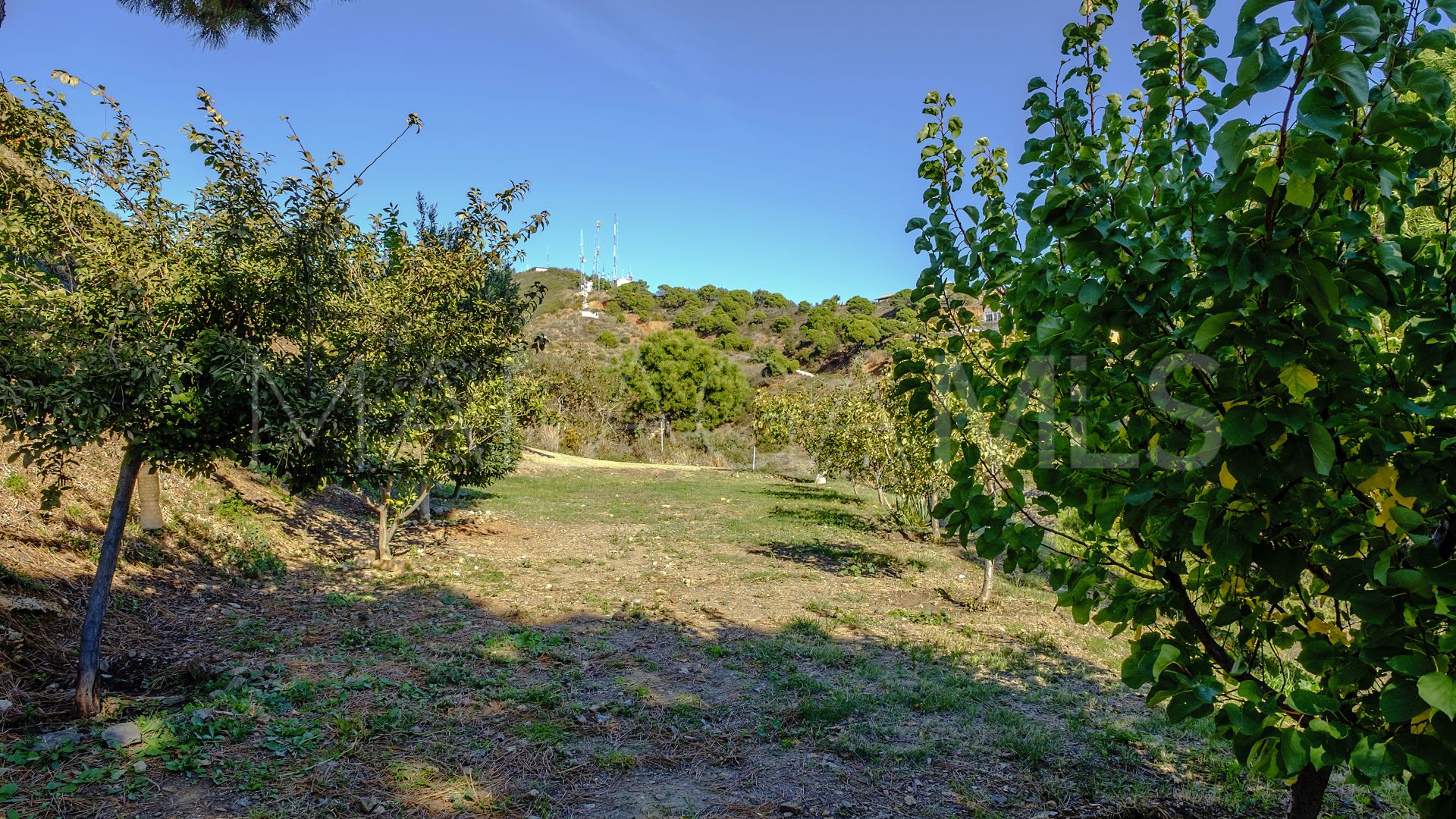 Finca for sale with 6 bedrooms in Estepona Centro