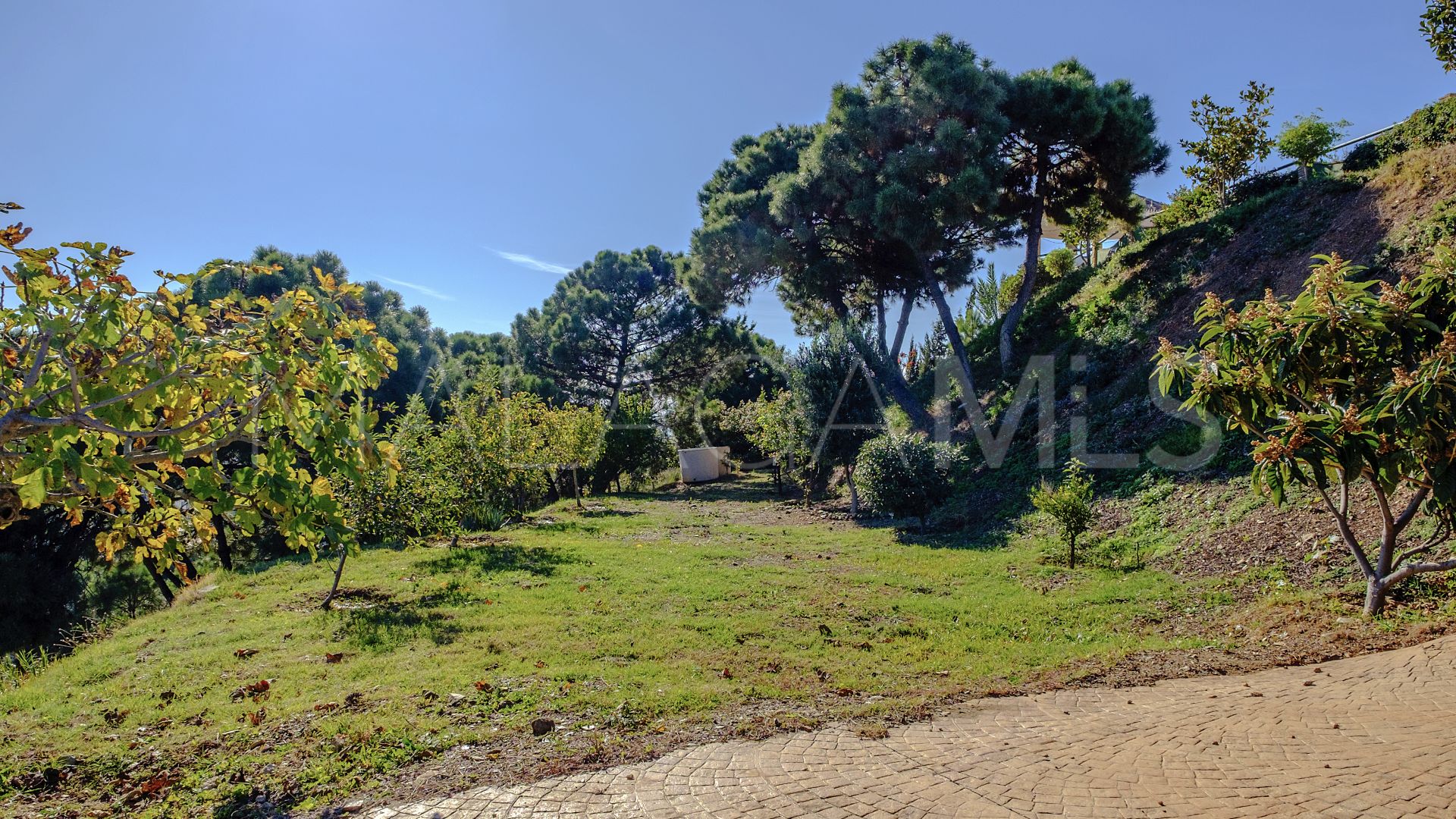 Finca for sale with 6 bedrooms in Estepona Centro