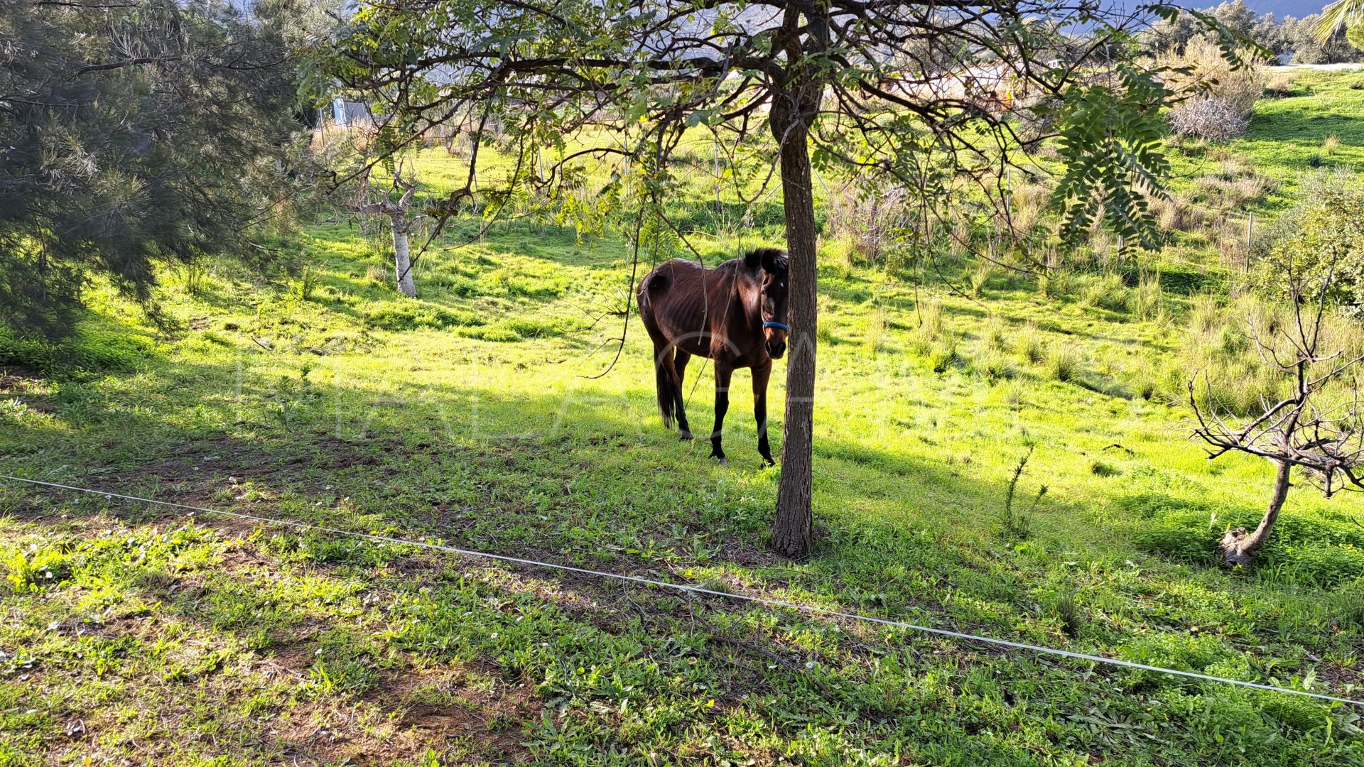 Entrerrios, finca for sale de 4 bedrooms