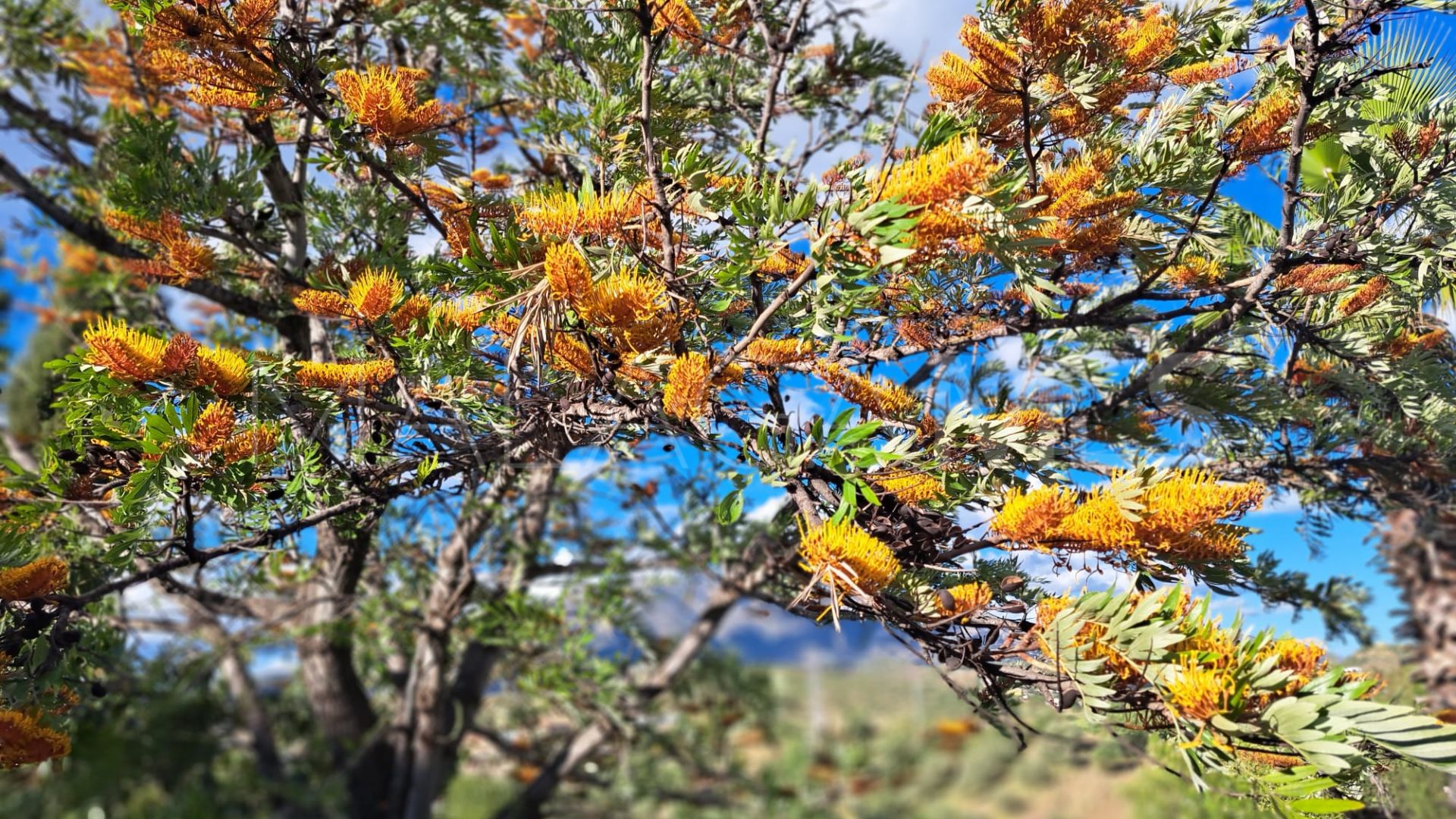 Entrerrios, finca for sale de 4 bedrooms