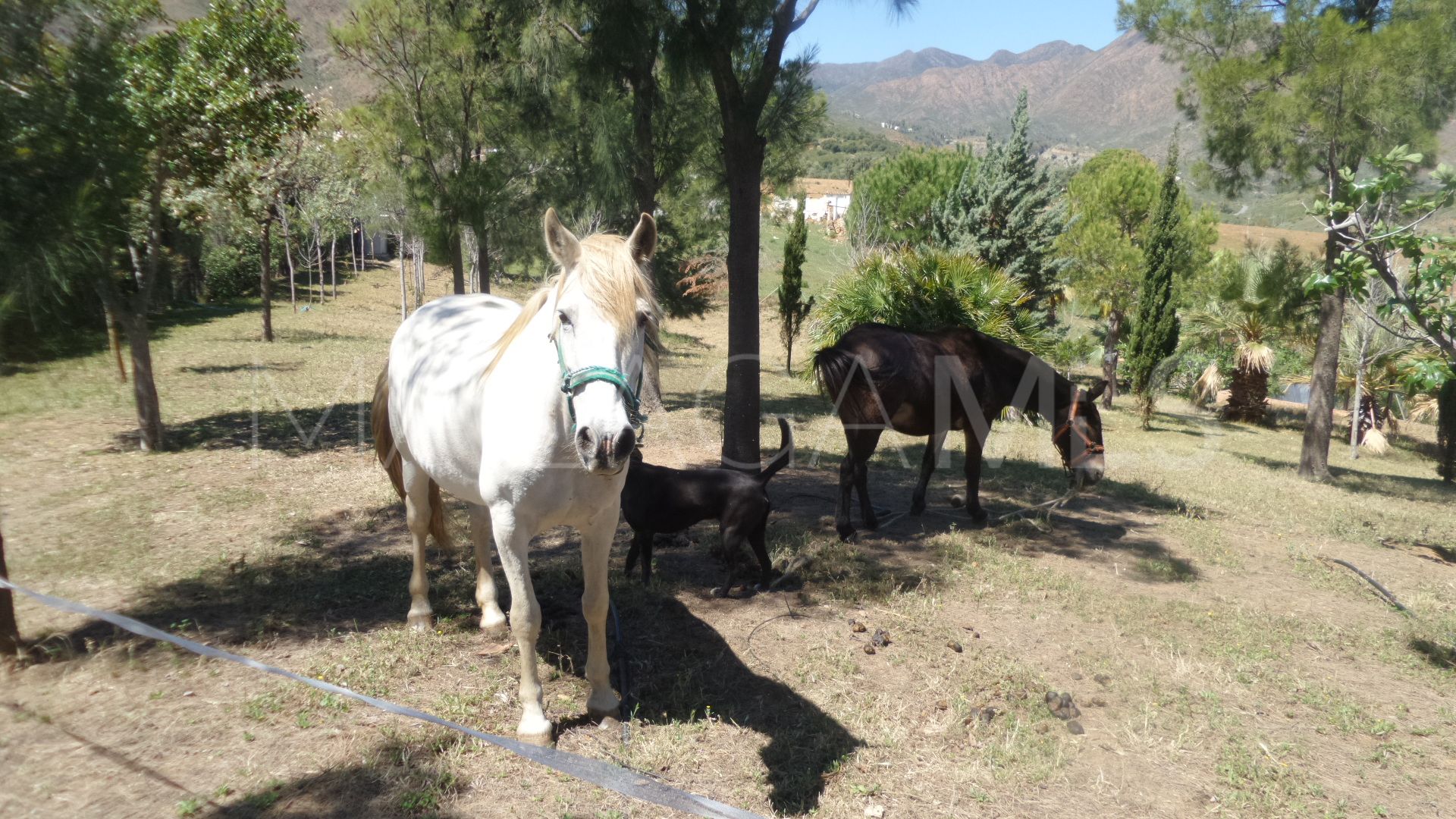 Entrerrios, finca for sale de 4 bedrooms