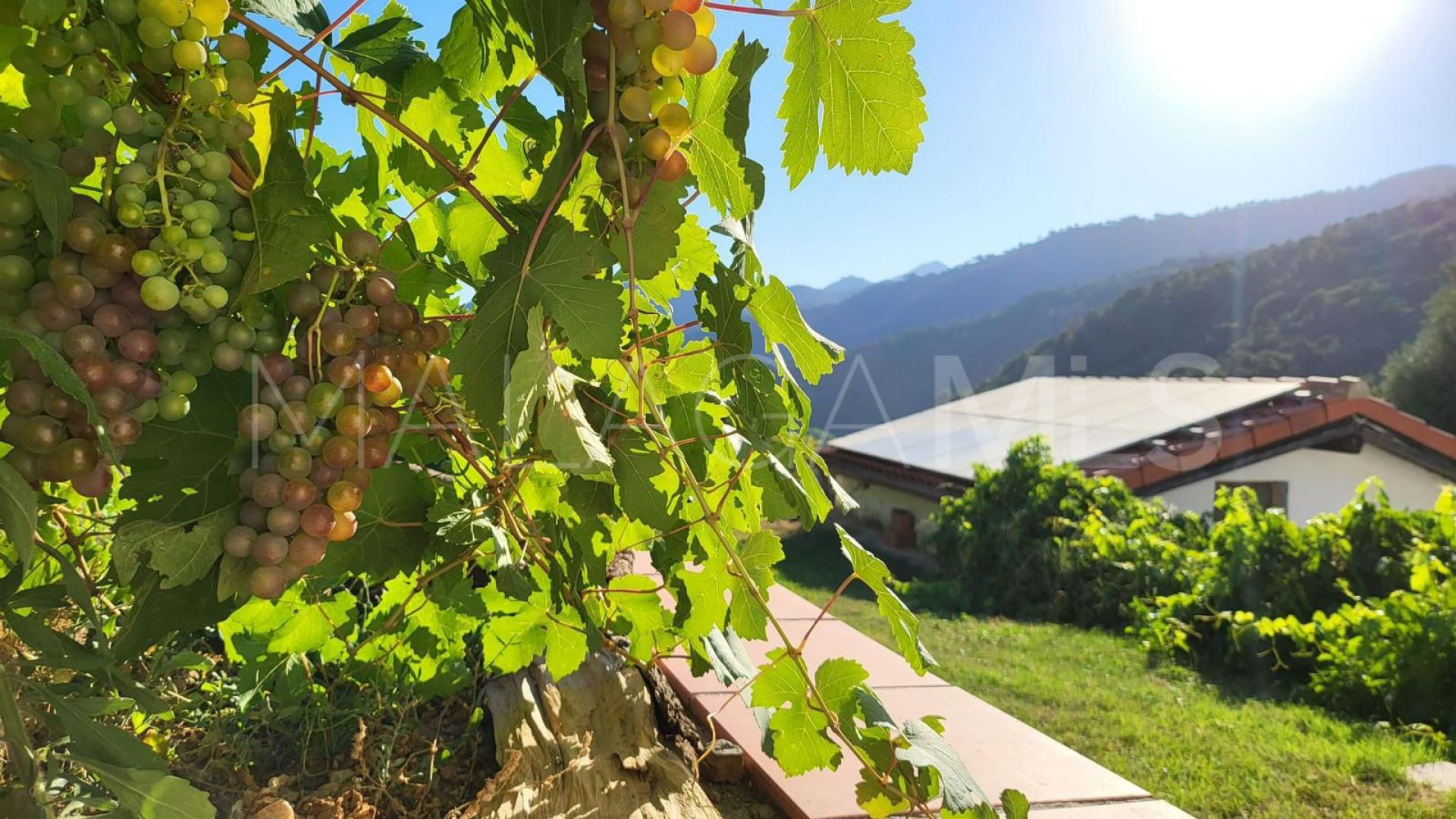 Finca for sale in Genalguacil