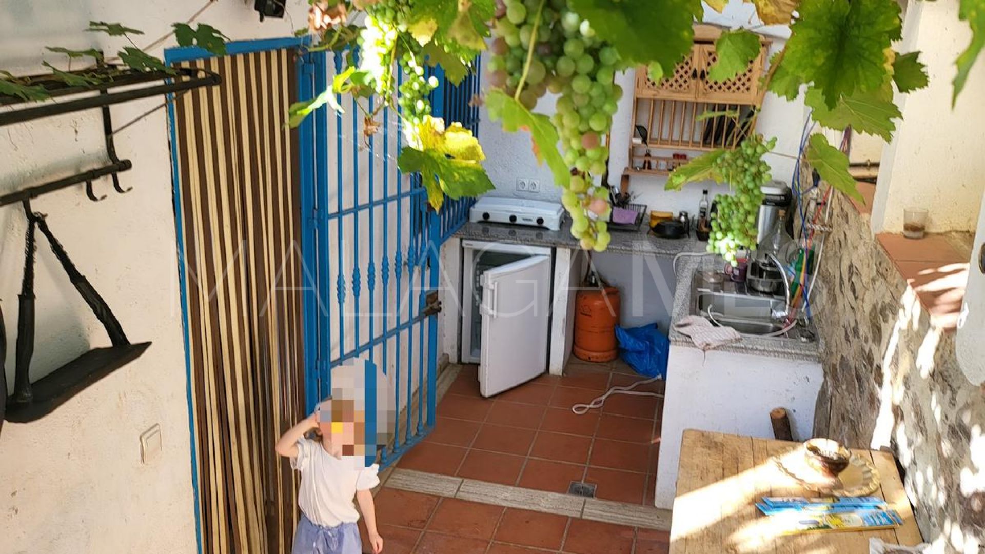 Finca for sale in Genalguacil