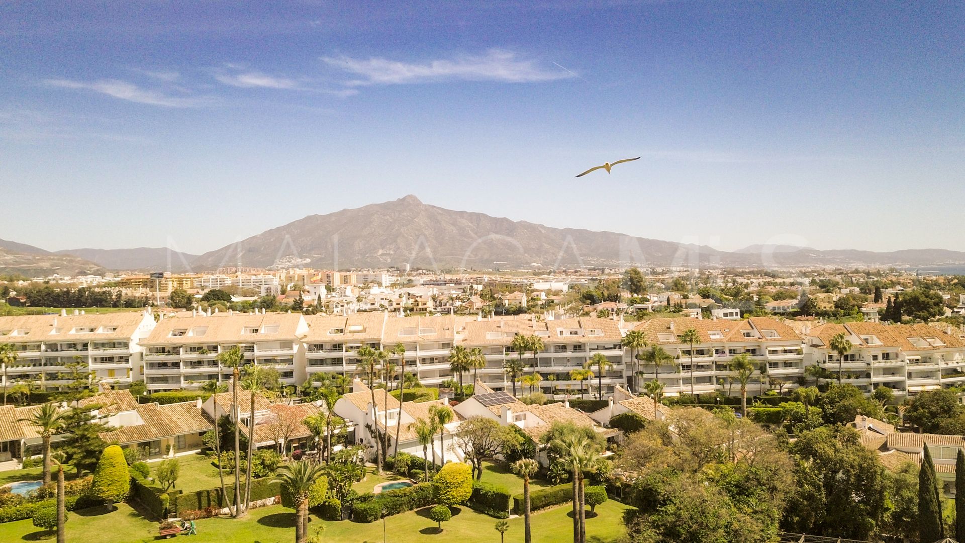 Villa for sale in Guadalmina Baja