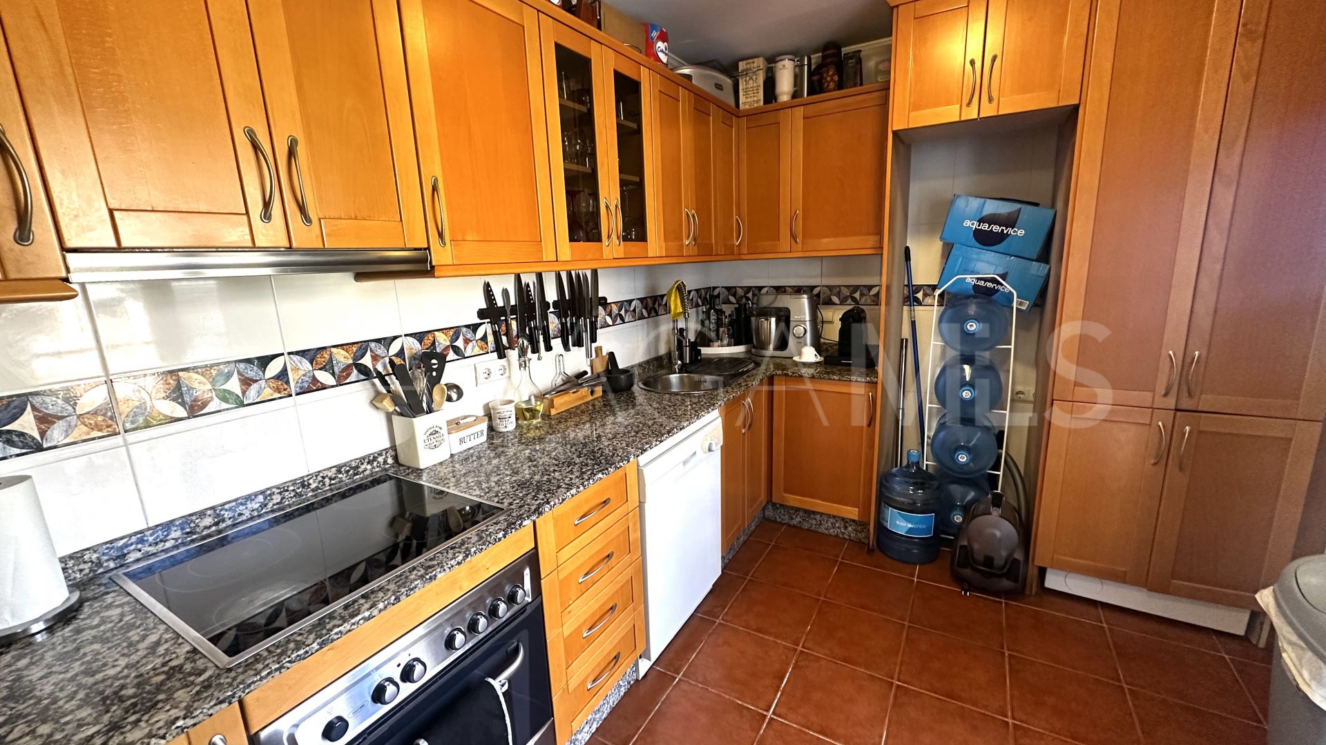 Appartement terrasse for sale in Elviria