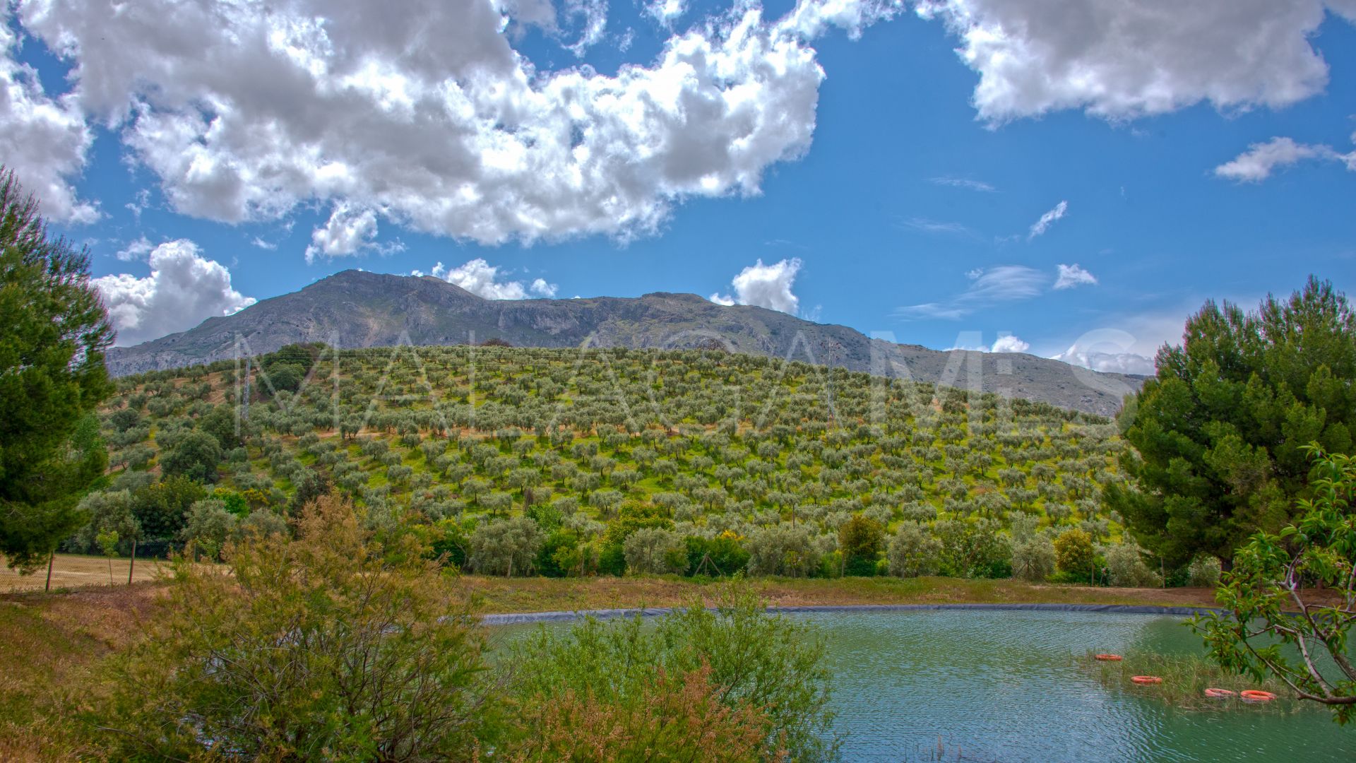 Buy parcela in Antequera