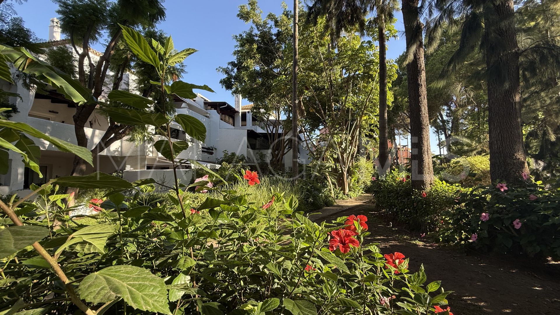 Ático de 3 bedrooms for sale in Guadalmina Baja