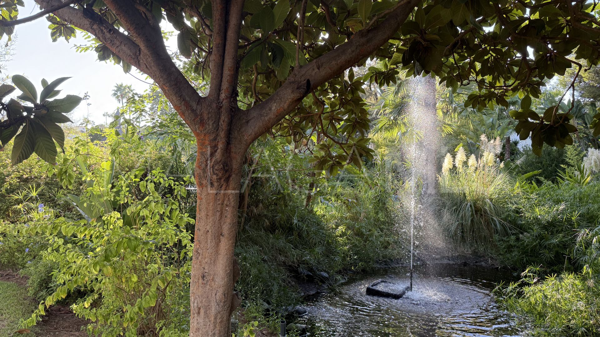 Ático de 3 bedrooms for sale in Guadalmina Baja