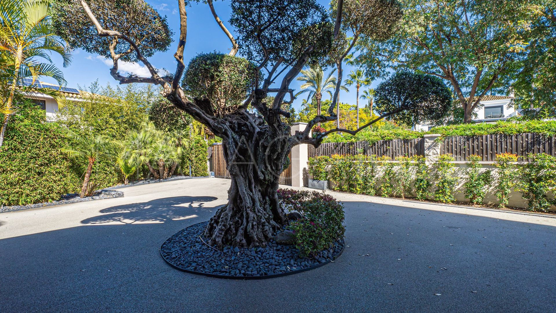 Villa for sale in Guadalmina Baja