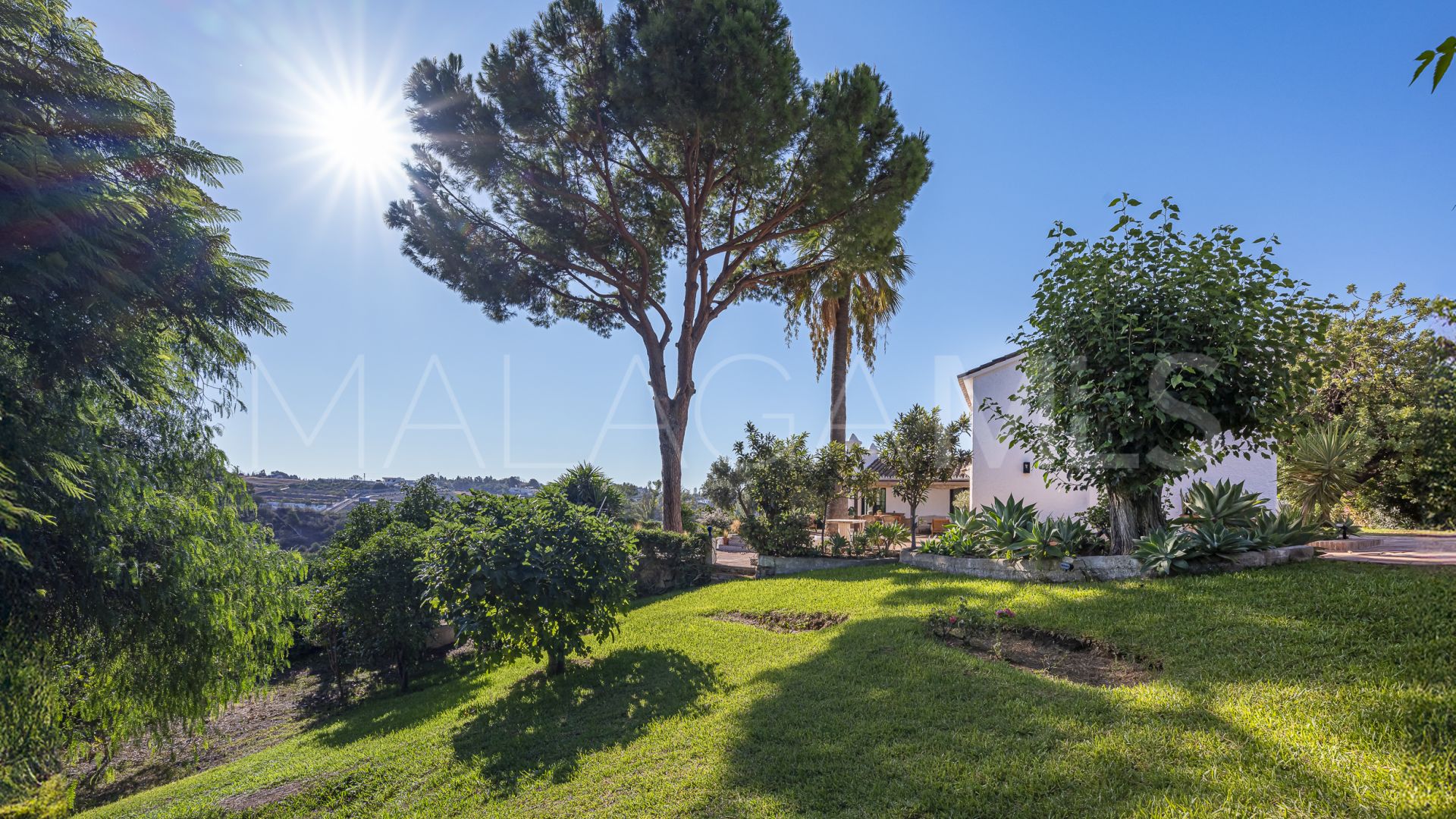 4 bedrooms villa in Guadalmina Alta for sale