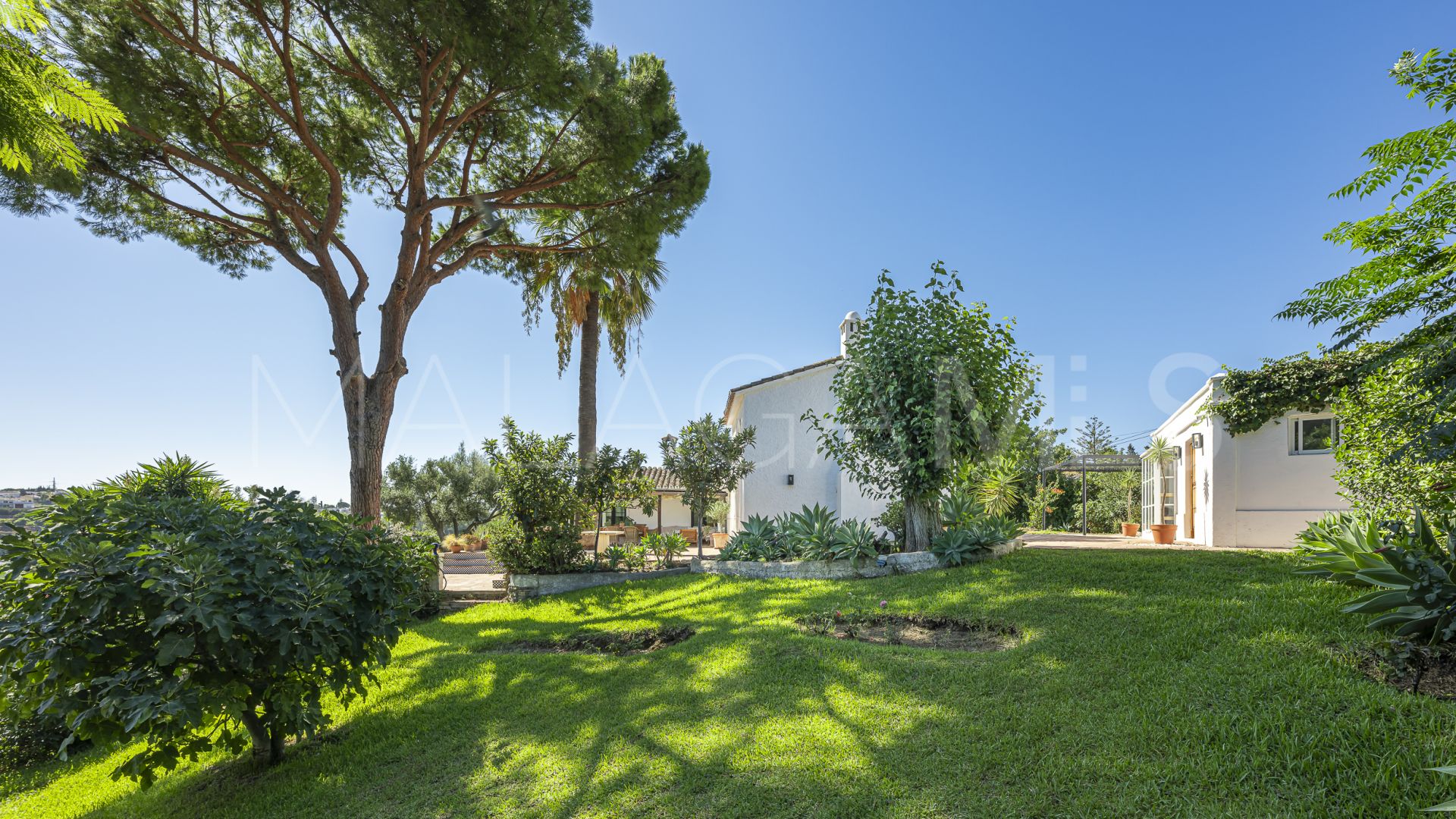 4 bedrooms villa in Guadalmina Alta for sale