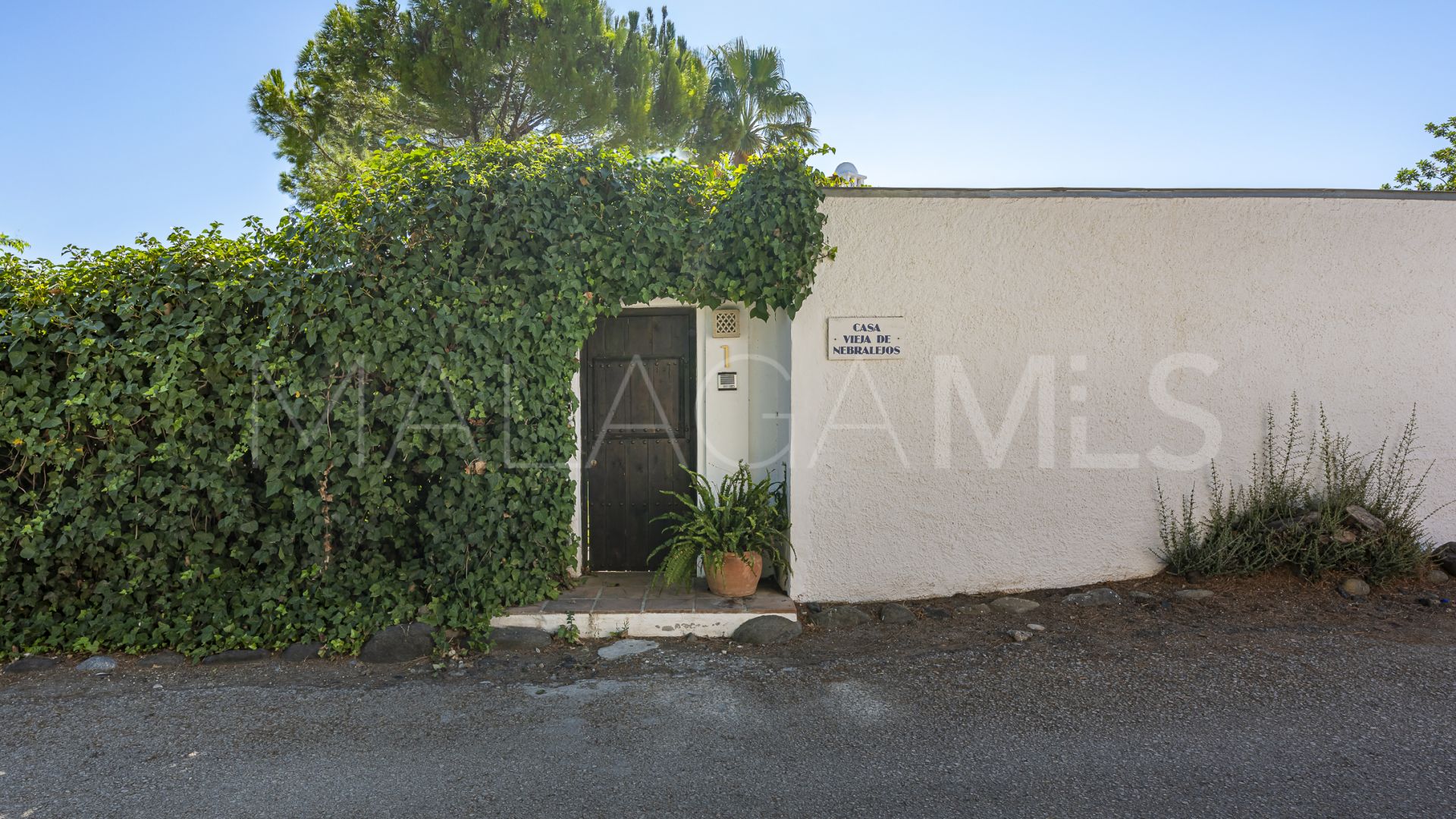 4 bedrooms villa in Guadalmina Alta for sale
