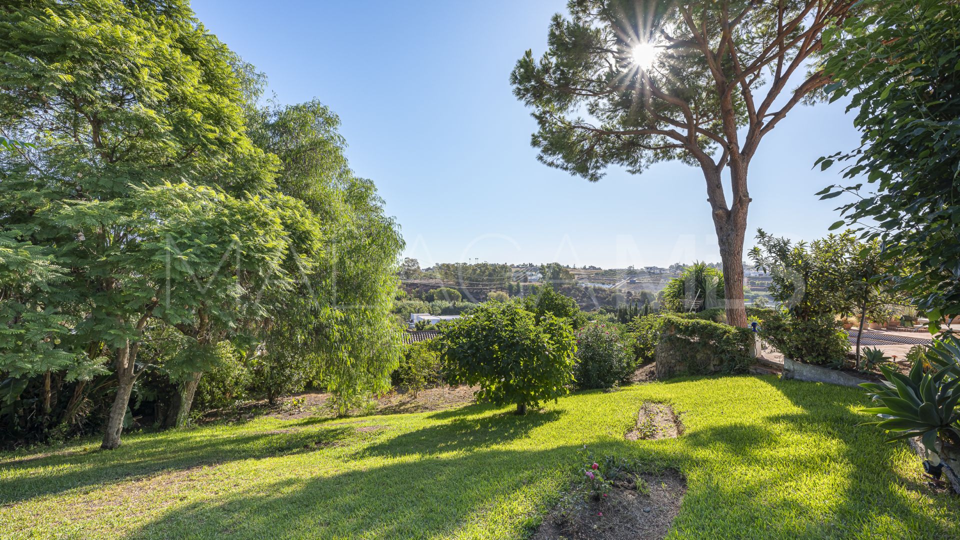 4 bedrooms villa in Guadalmina Alta for sale