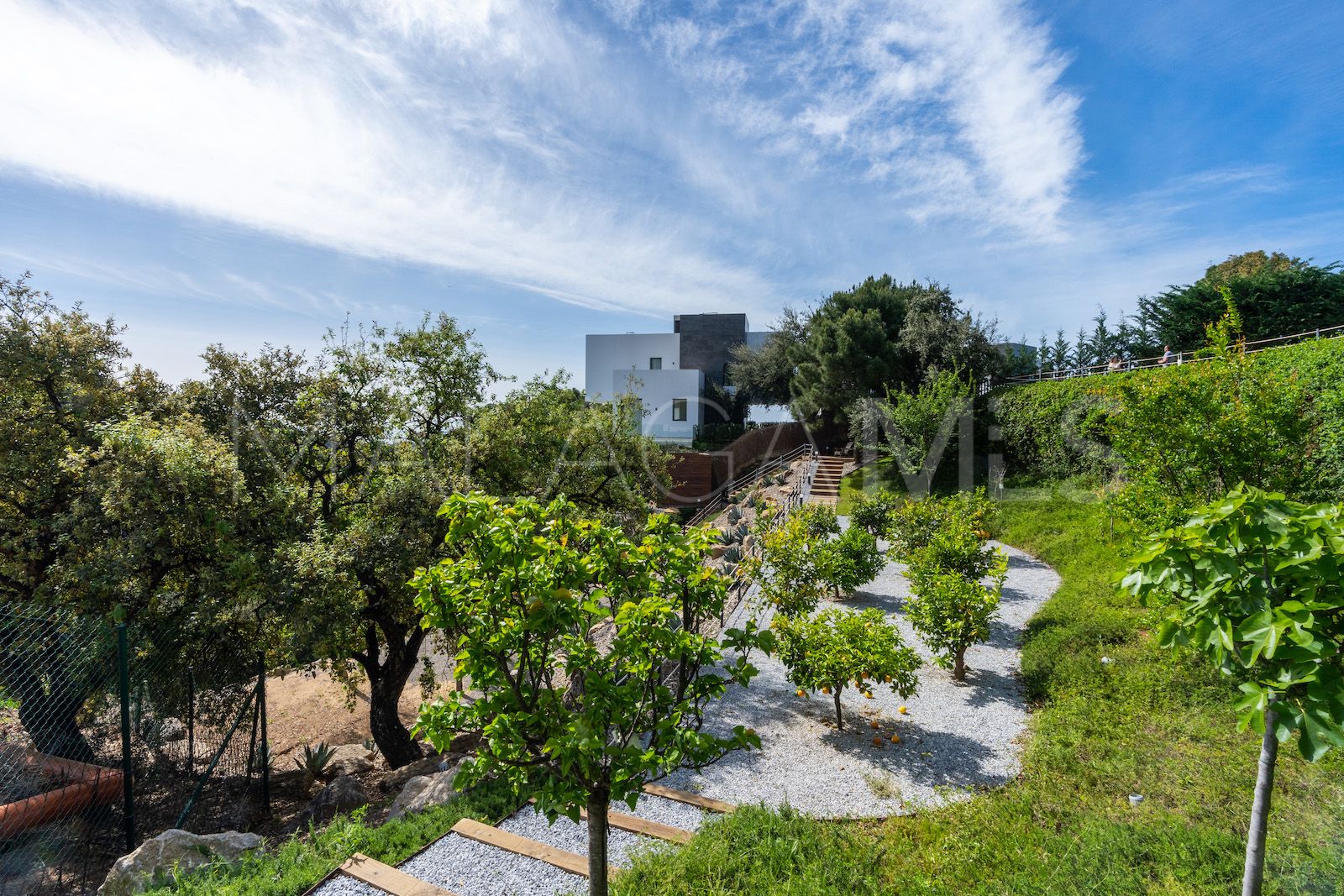 Se vende pareado with 5 bedrooms in Montemayor