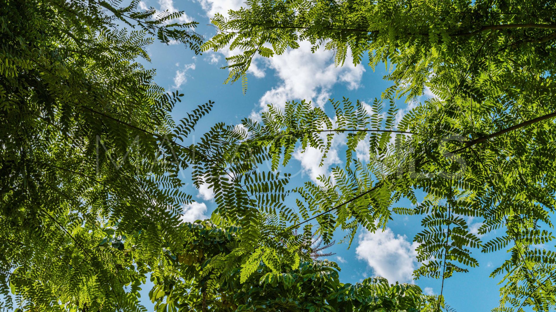 Buy Lomas del Rey 3 bedrooms duplex penthouse