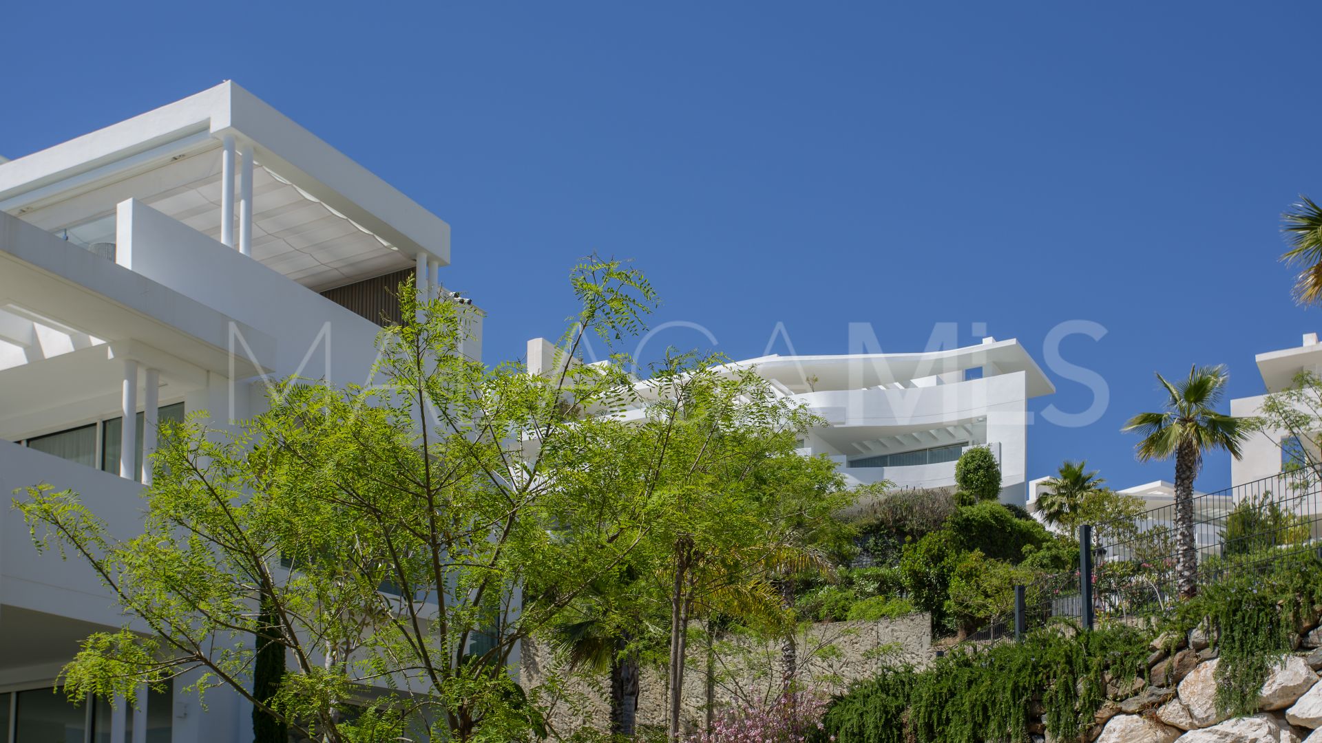 Buy penthouse in Palo Alto