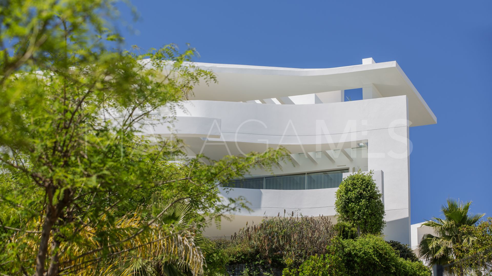 Buy penthouse in Palo Alto