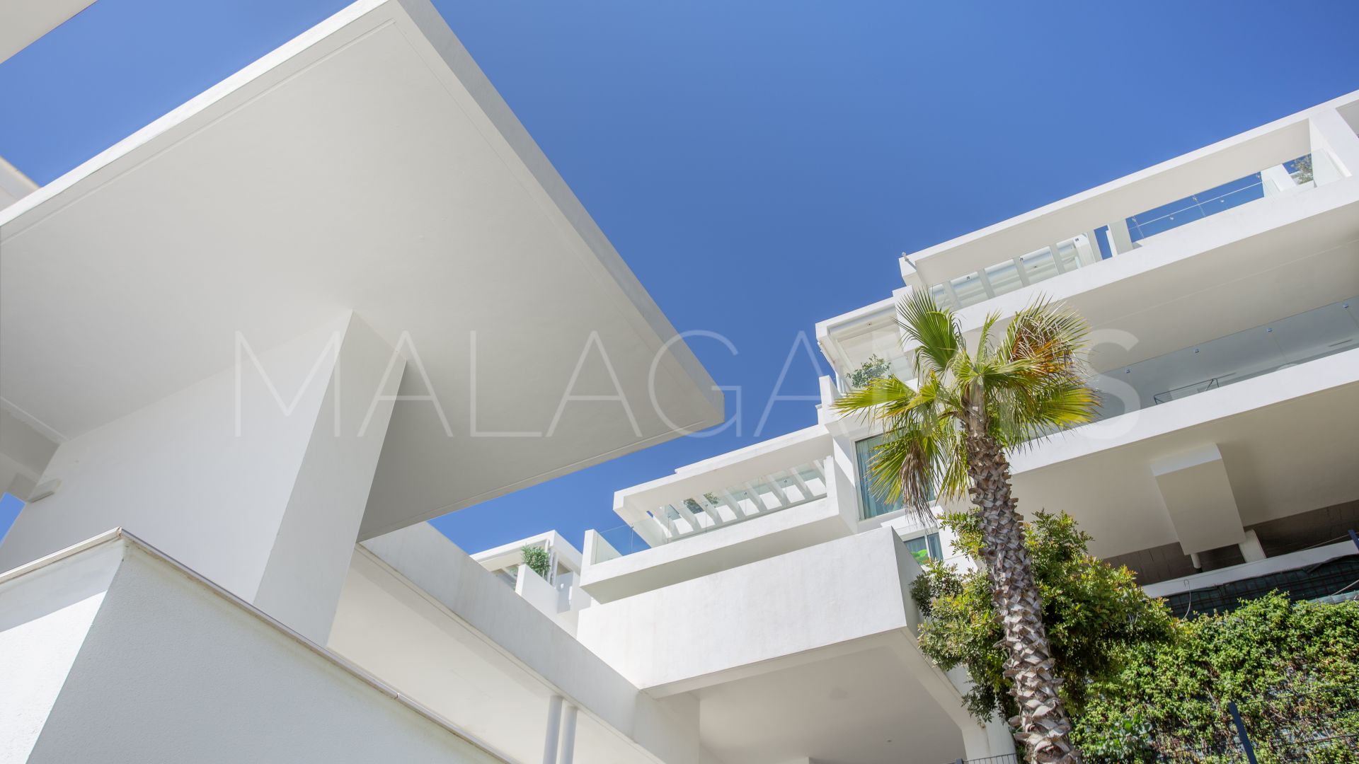 Buy penthouse in Palo Alto