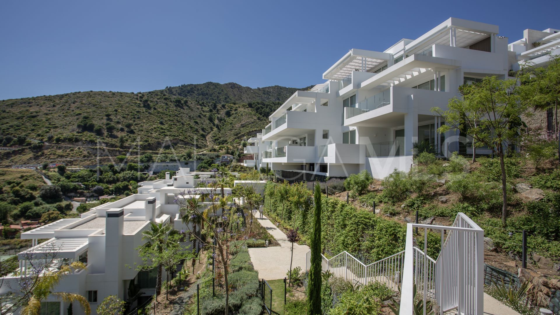 Buy penthouse in Palo Alto