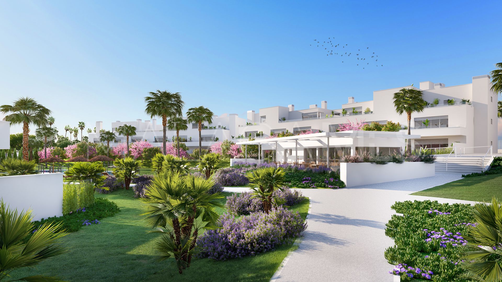 2 bedrooms ground floor apartment for sale in New Golden Mile