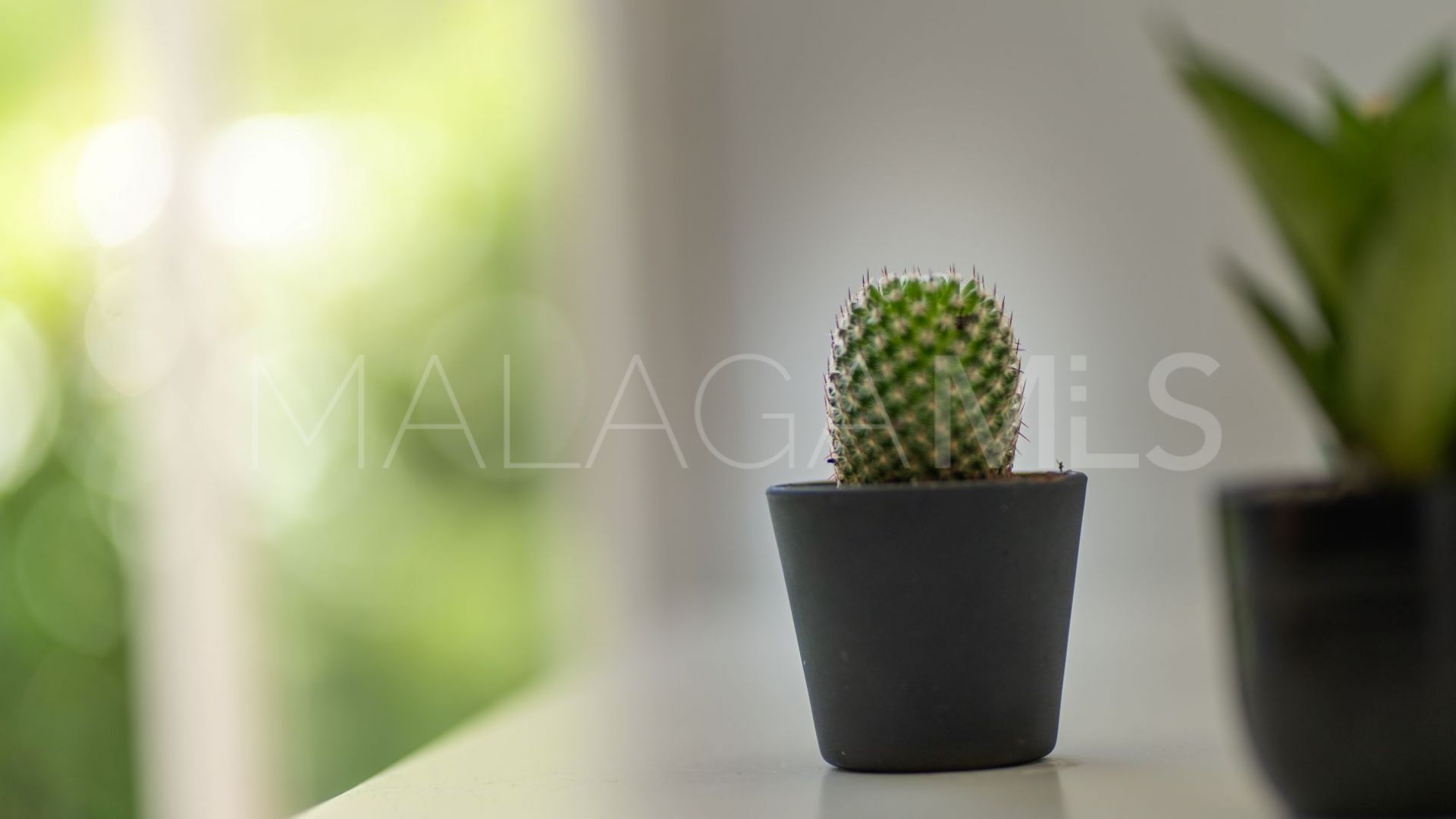 Studio for sale in Los Pacos