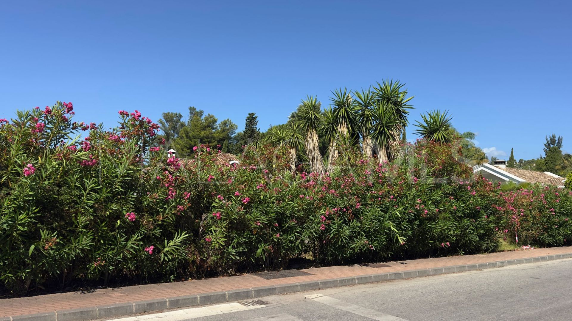 Parcela a la venta in Nueva Andalucia