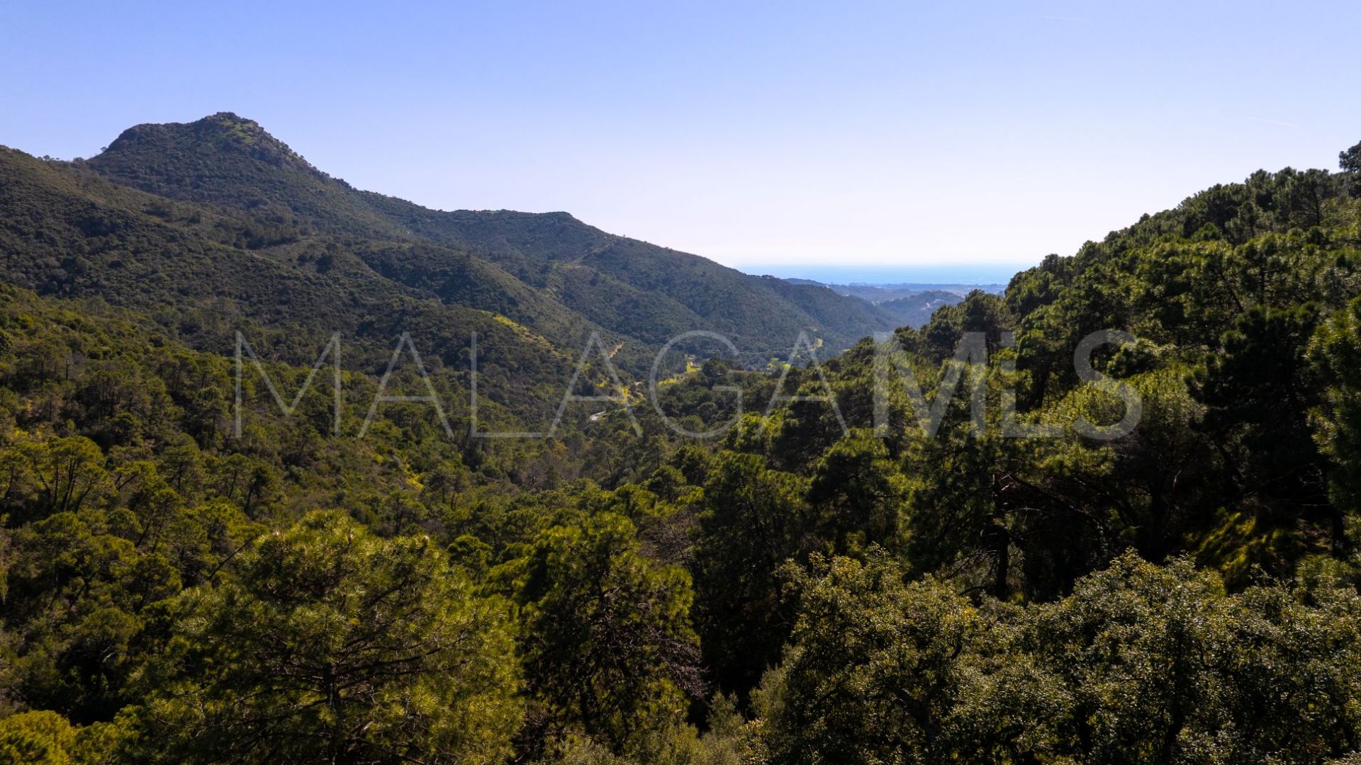 Tomt for sale in Monte Mayor