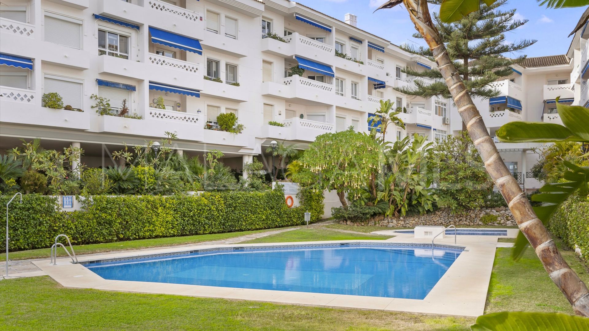 Se vende atico duplex in S. Pedro Centro