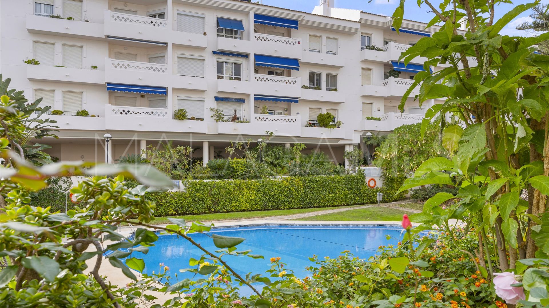 Se vende atico duplex in S. Pedro Centro