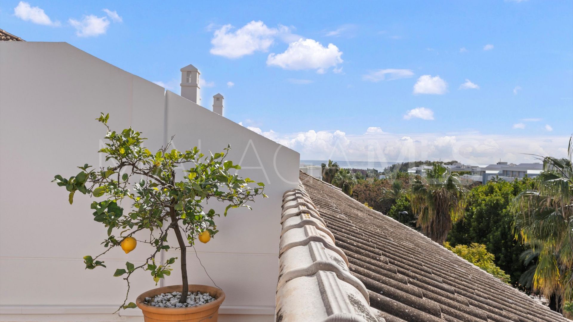 Se vende atico duplex in S. Pedro Centro