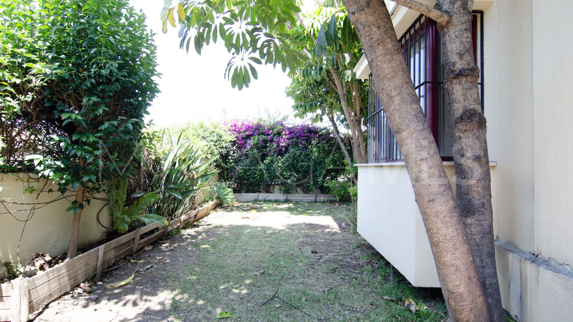 Buy adosado in Hacienda El palmeral