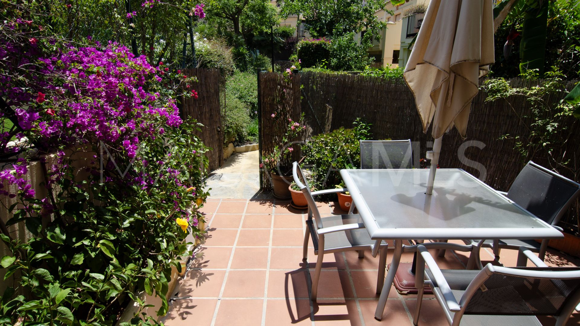 Buy adosado in Hacienda El palmeral