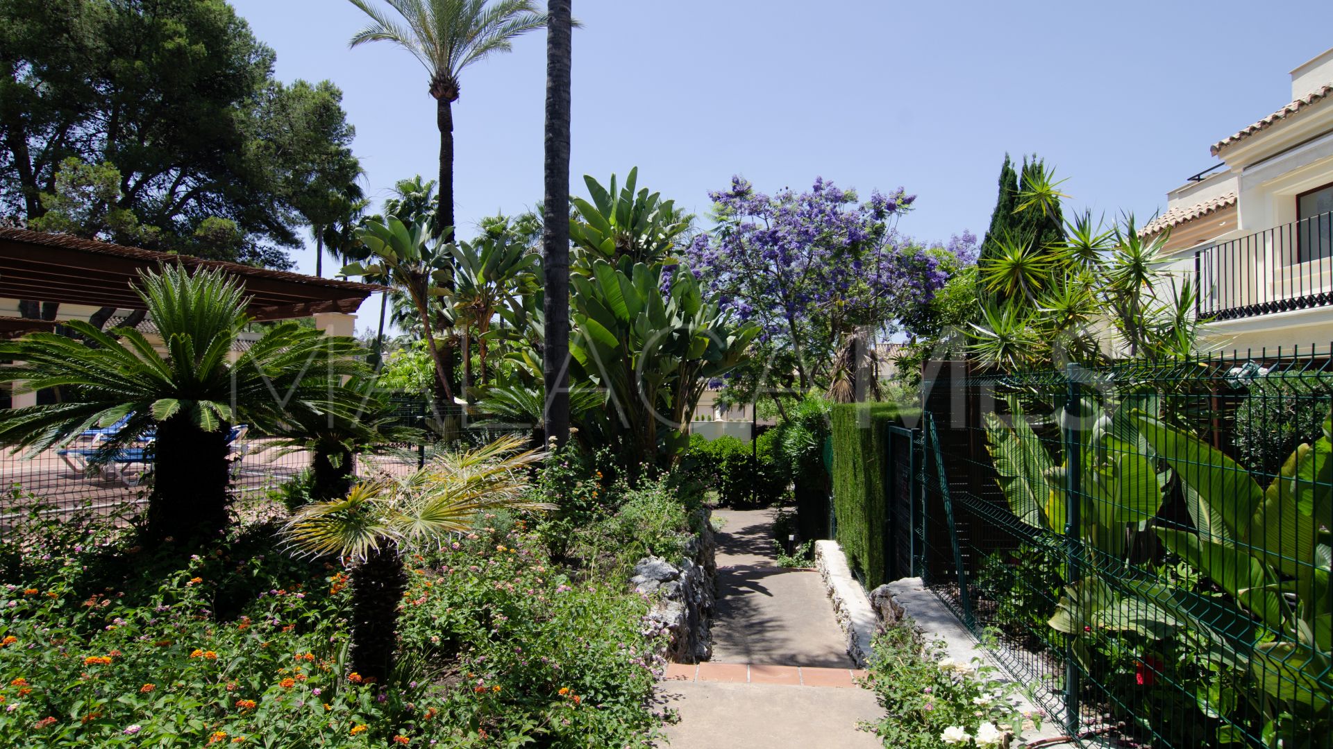 Buy adosado in Hacienda El palmeral