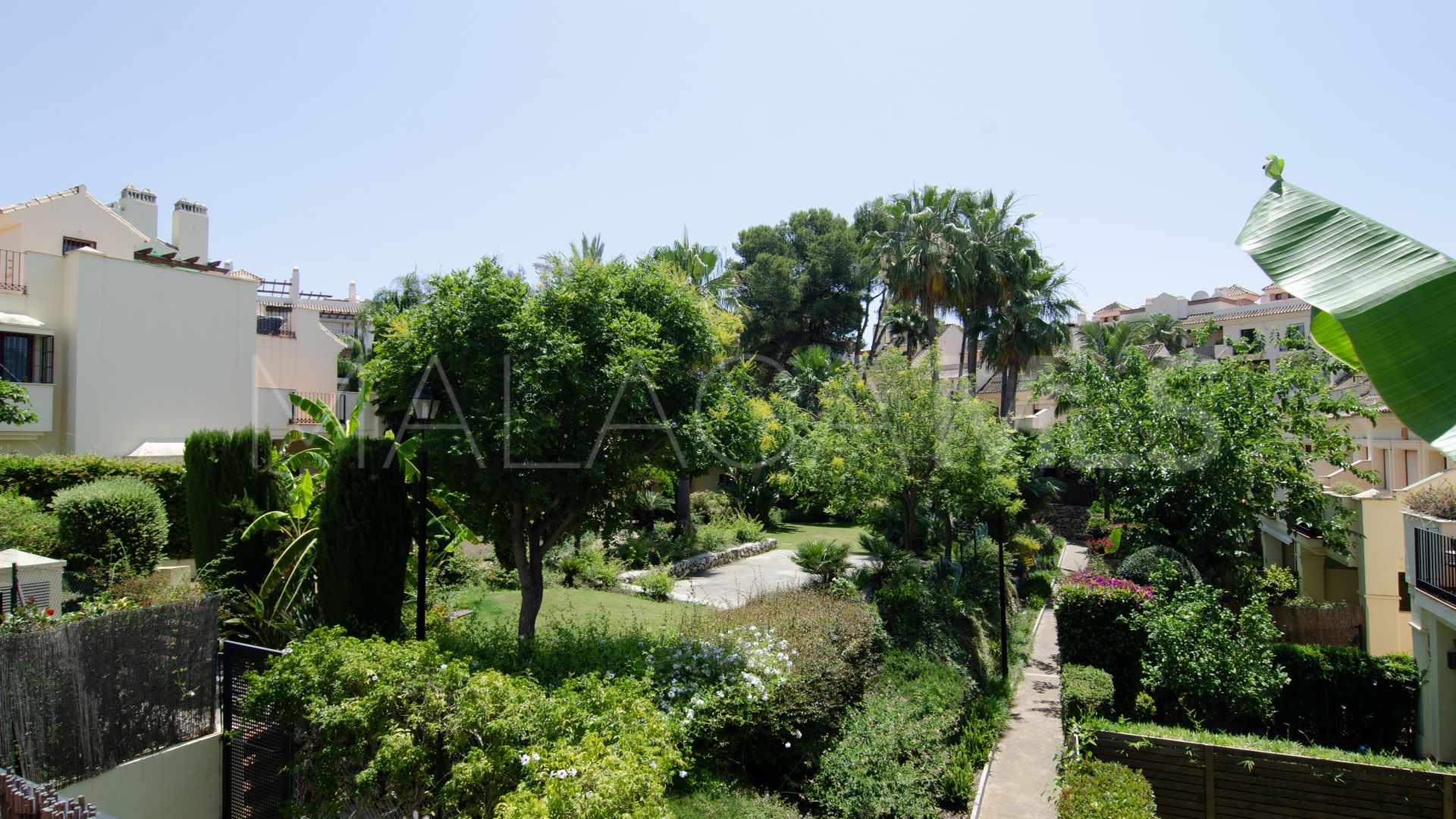 Buy adosado in Hacienda El palmeral